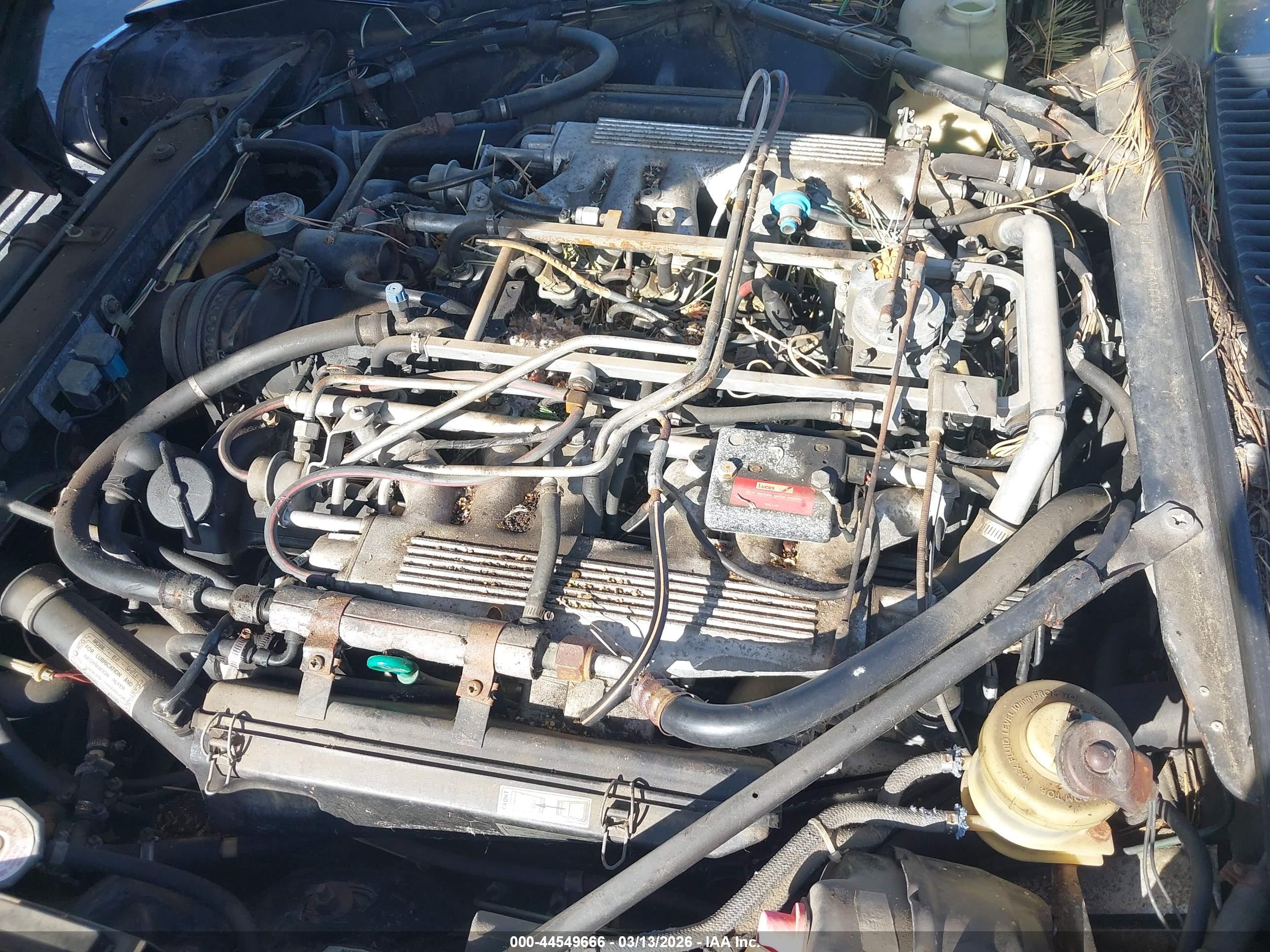 JAGUAR XJS image 10