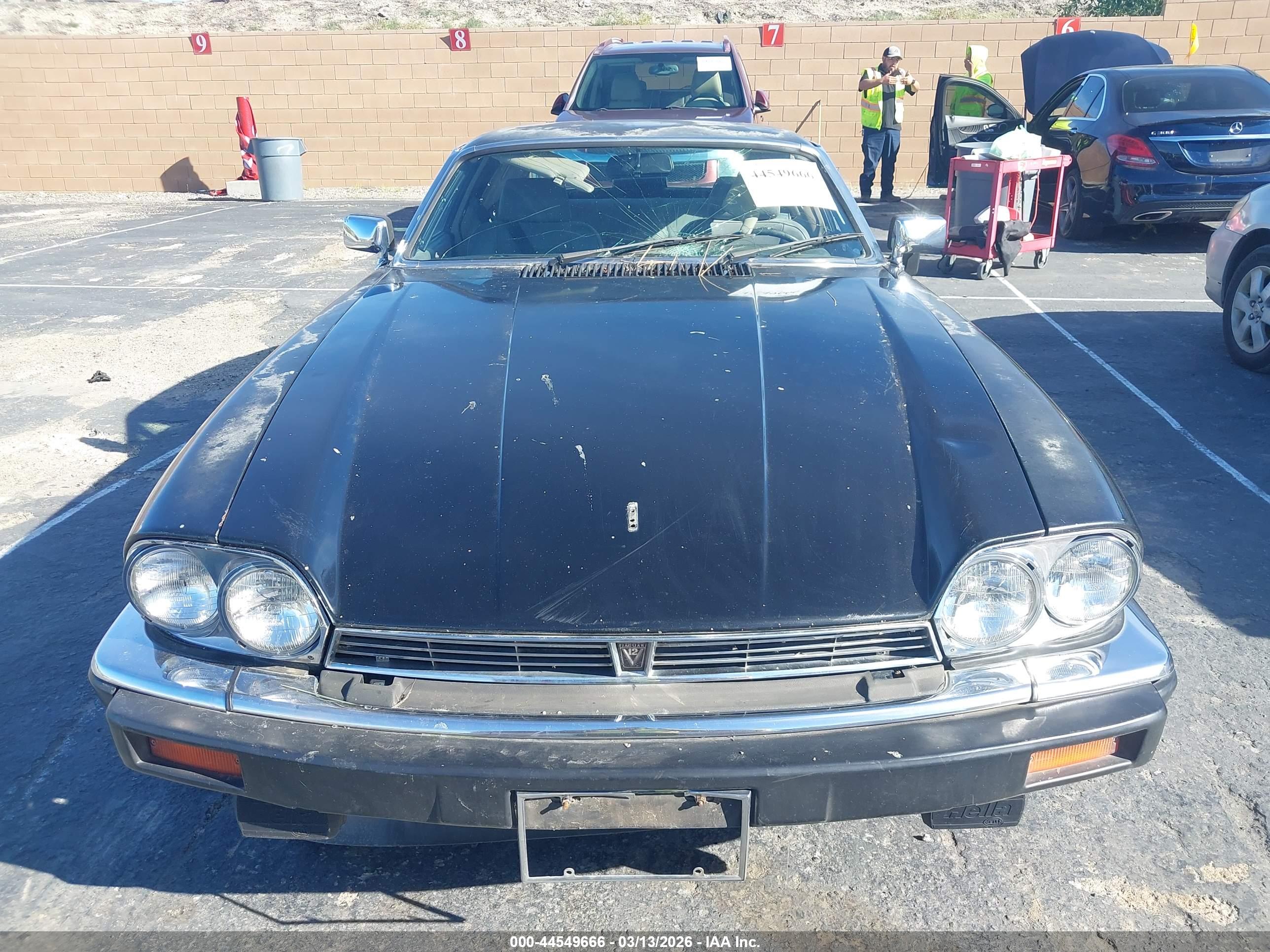 JAGUAR XJS image 6