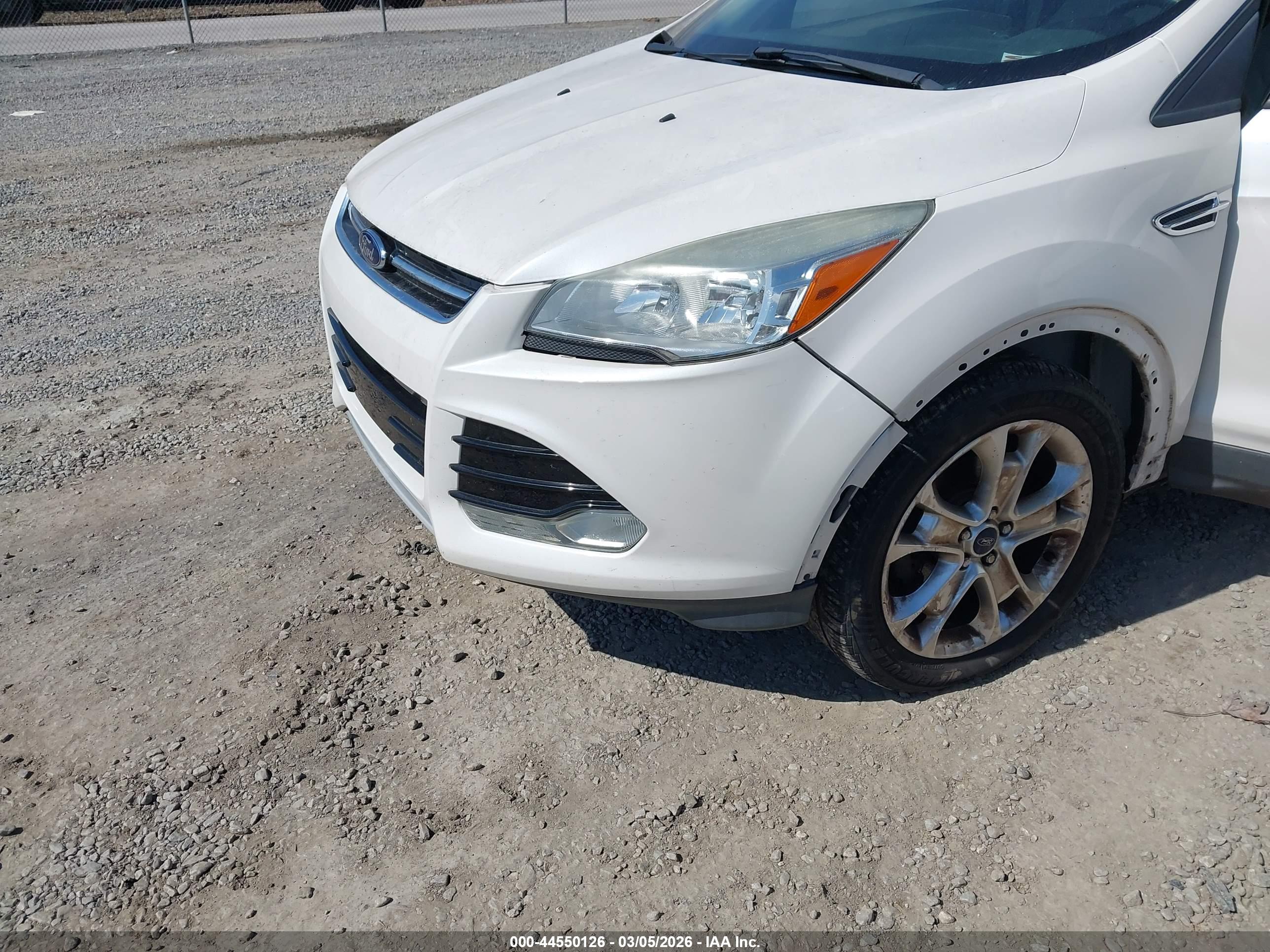 FORD ESCAPE image 6
