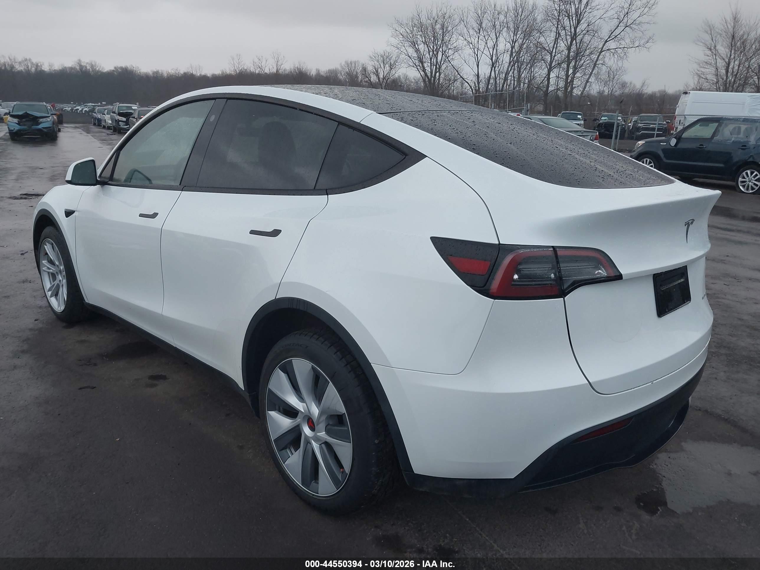 TESLA MODEL image 3