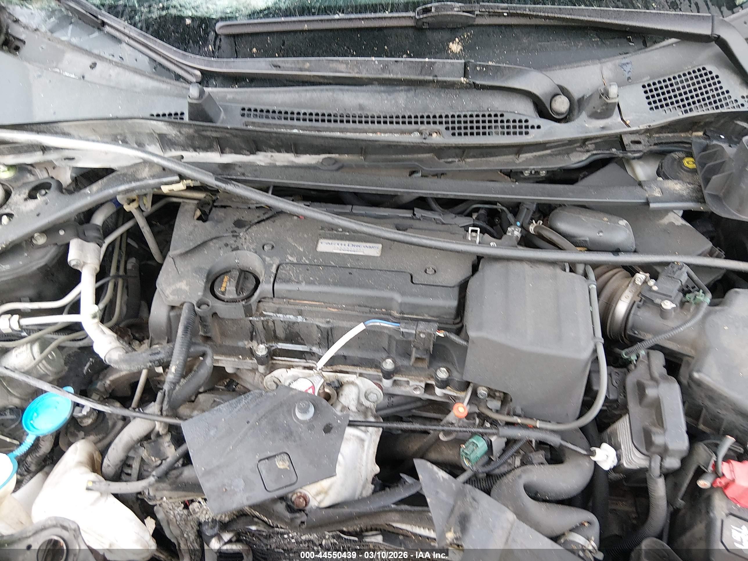HONDA ACCORD image 10