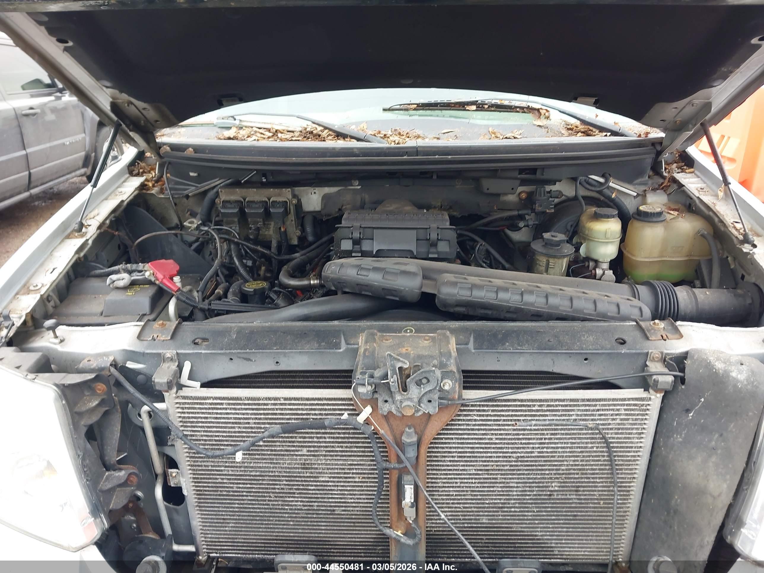 FORD F-150 image 10