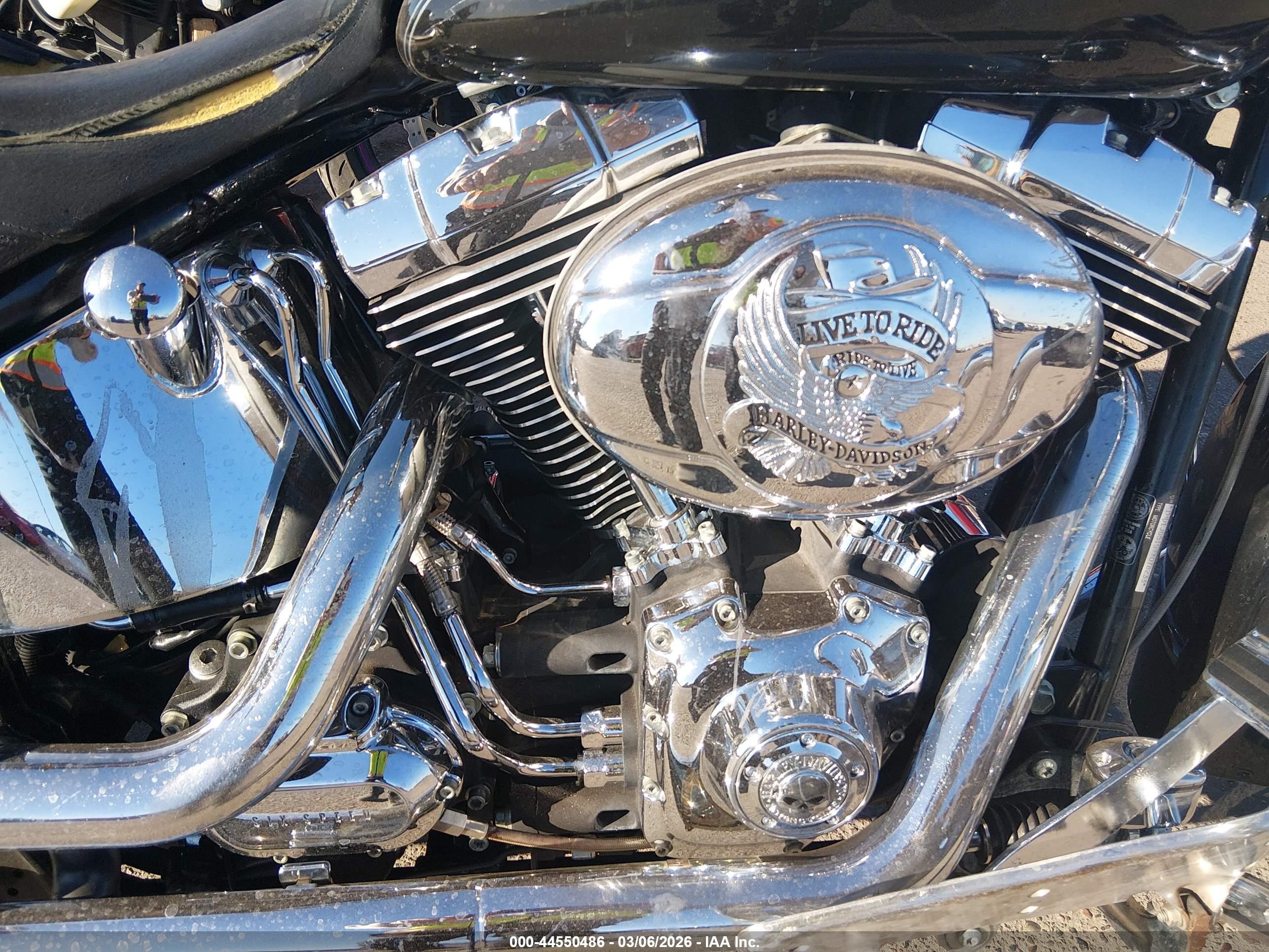 HARLEY-DAVIDSON FLSTN image 8