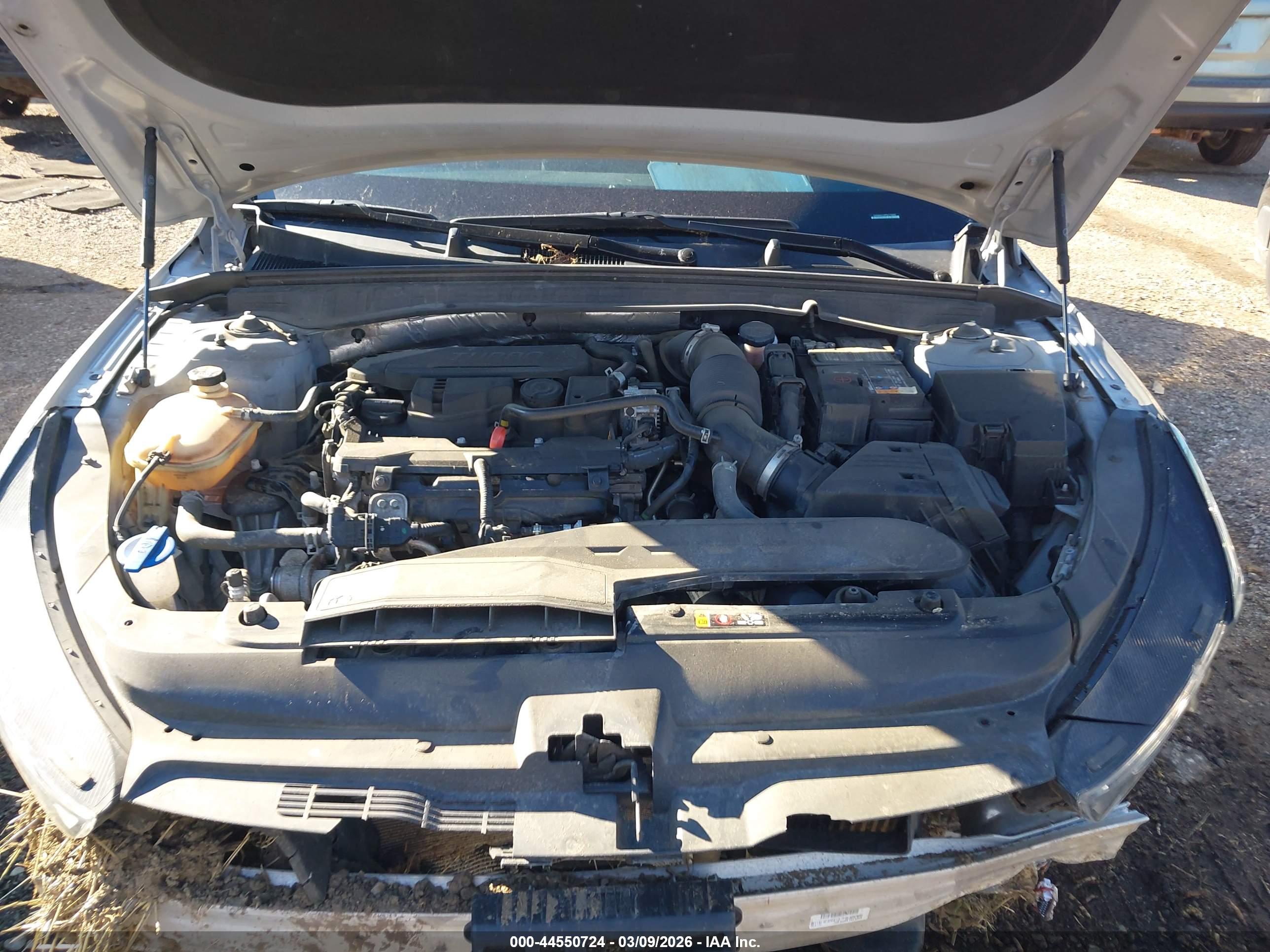 KIA K5 image 10