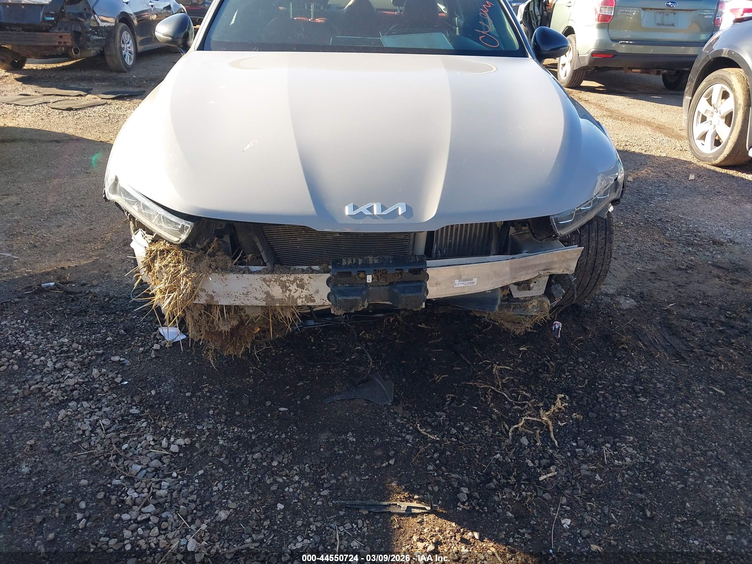 KIA K5 image 6