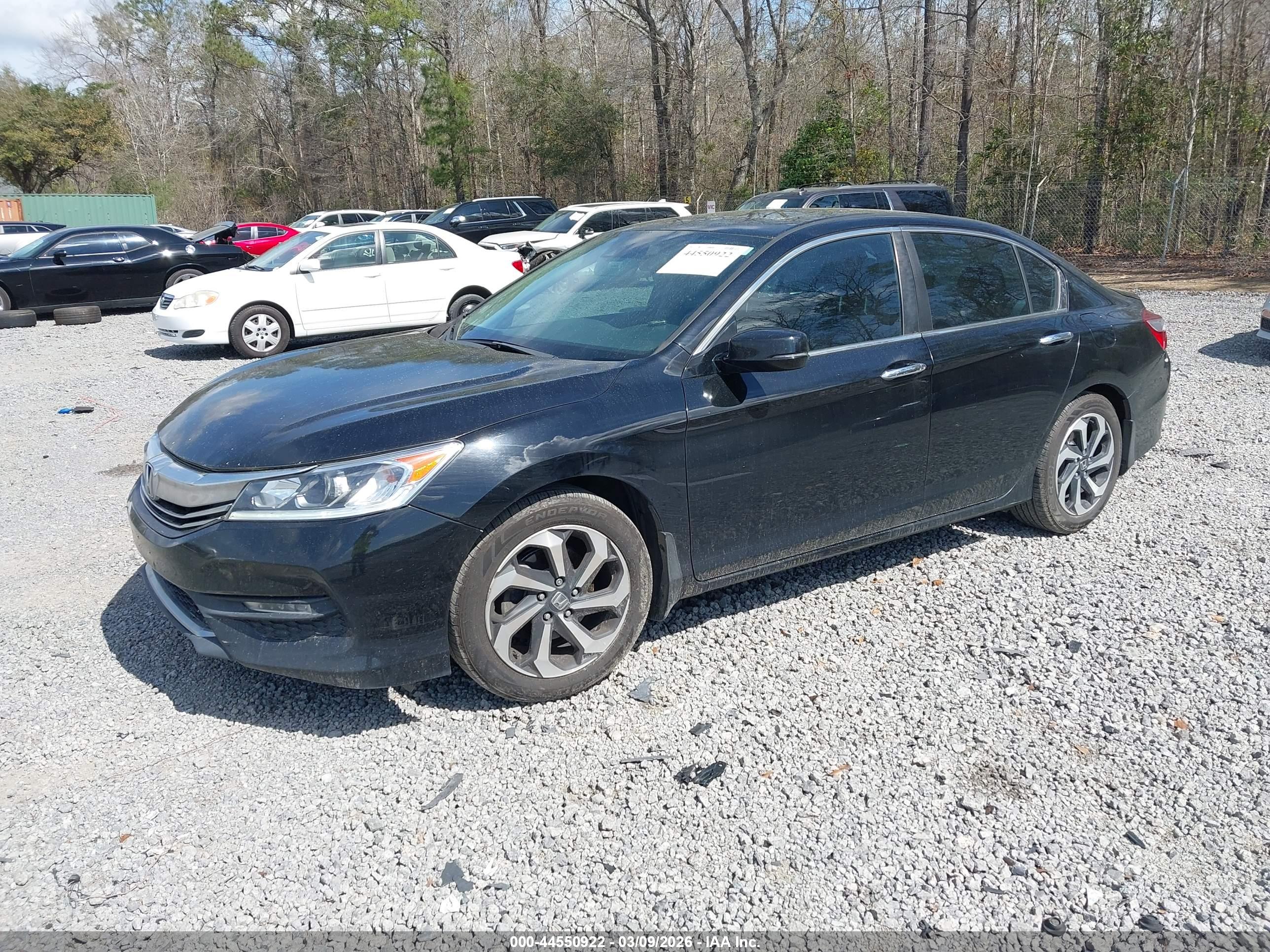 HONDA ACCORD image 2