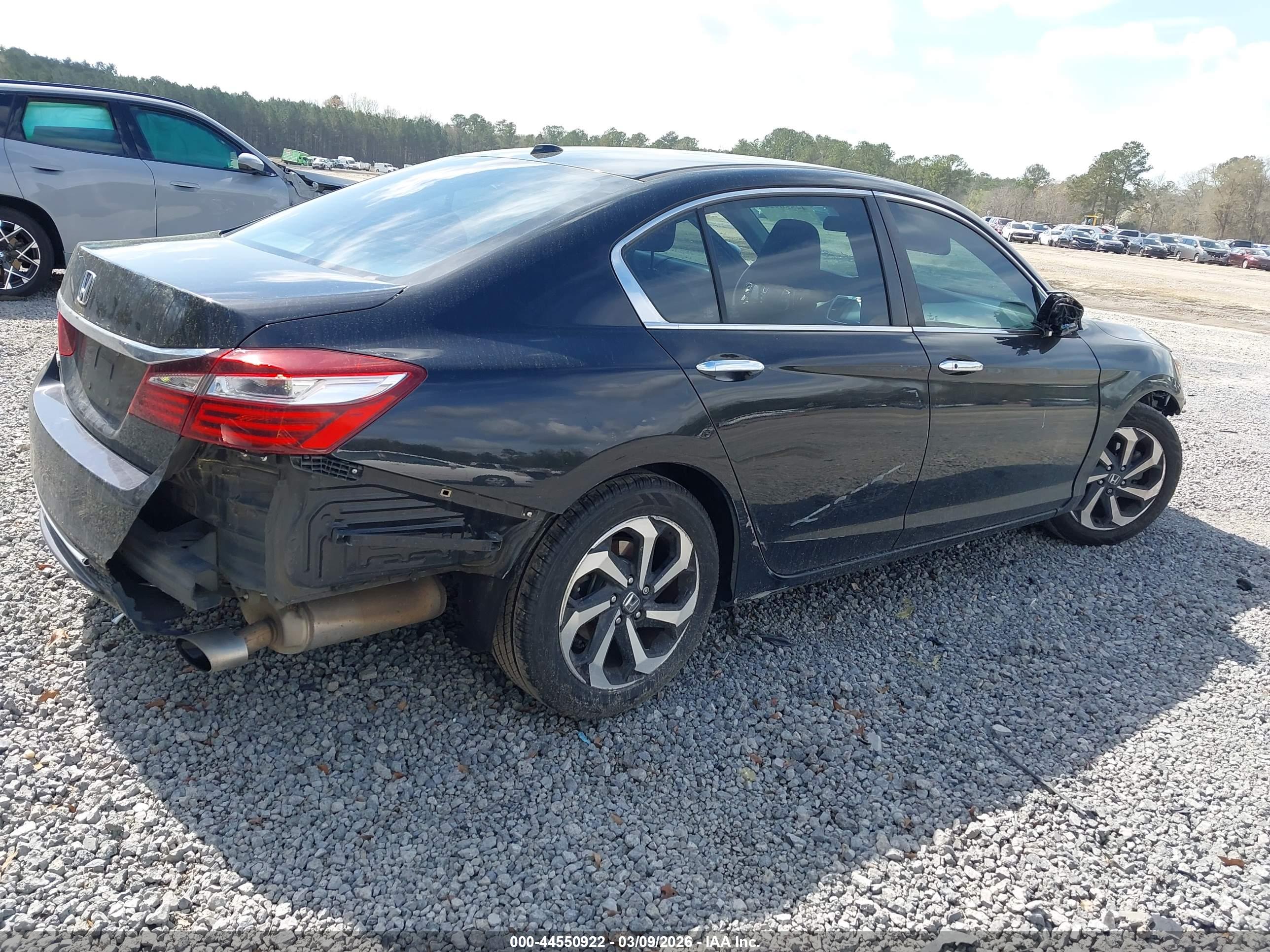 HONDA ACCORD image 6