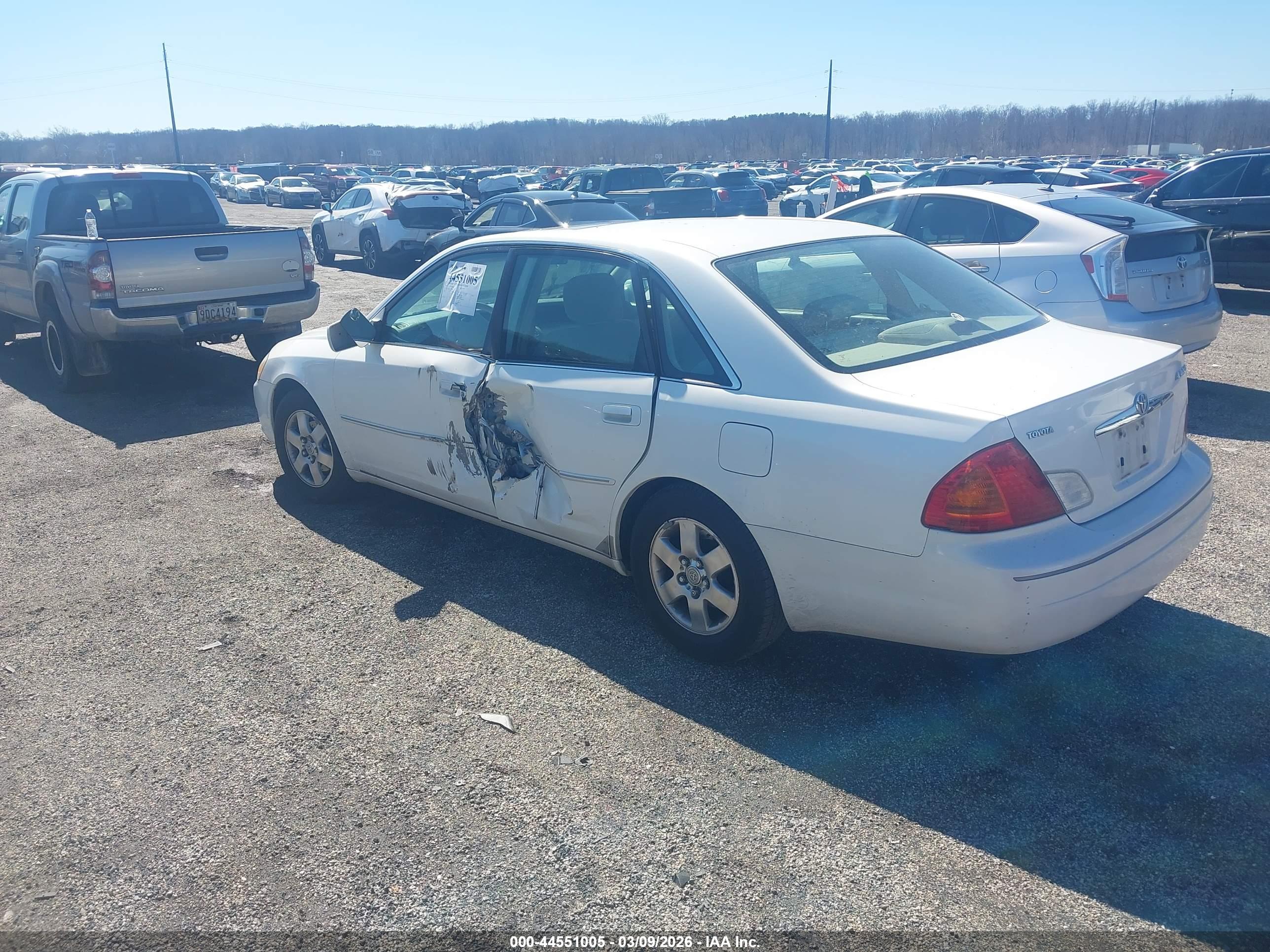 TOYOTA AVALON image 3