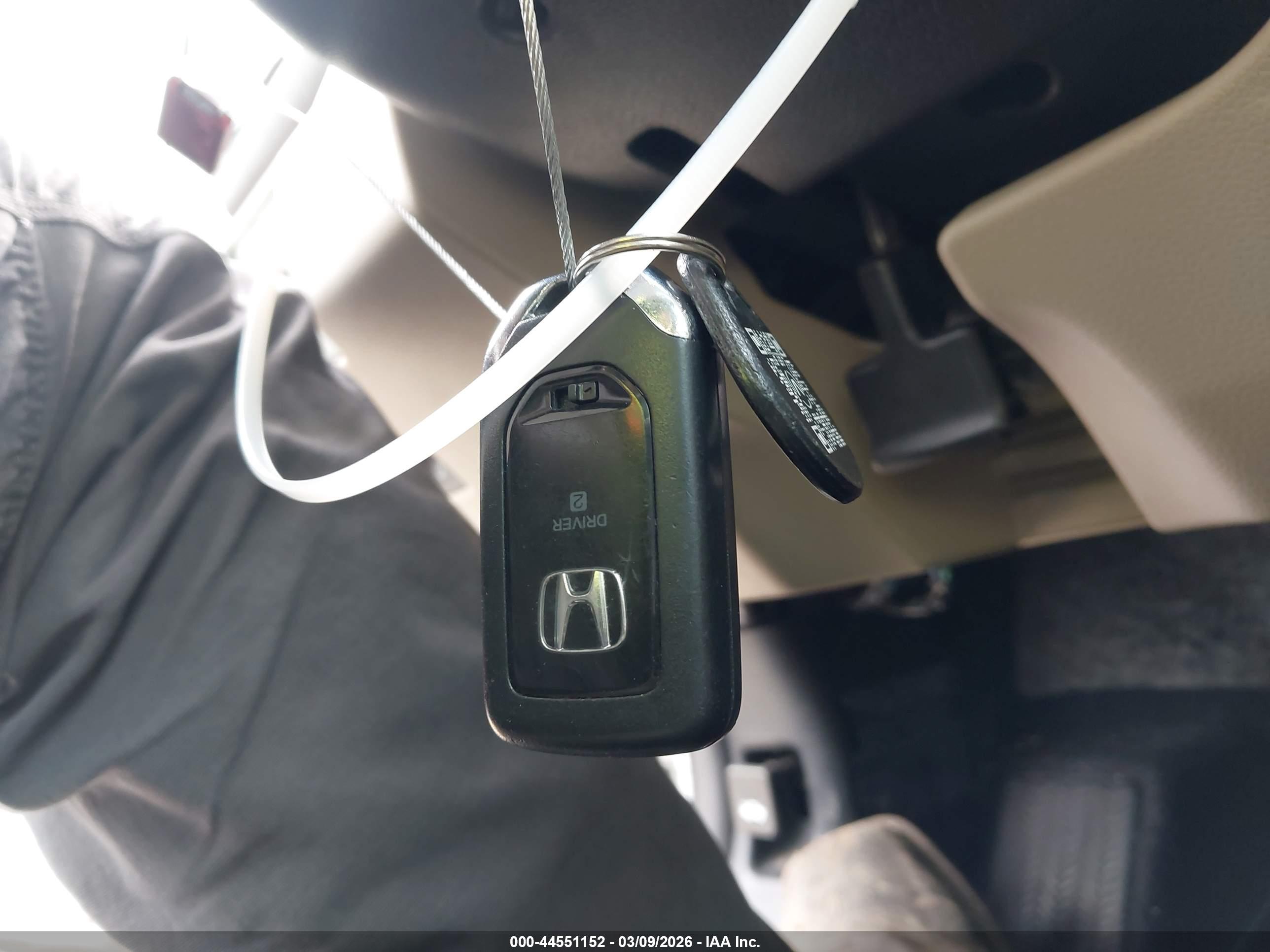 HONDA ACCORD image 11