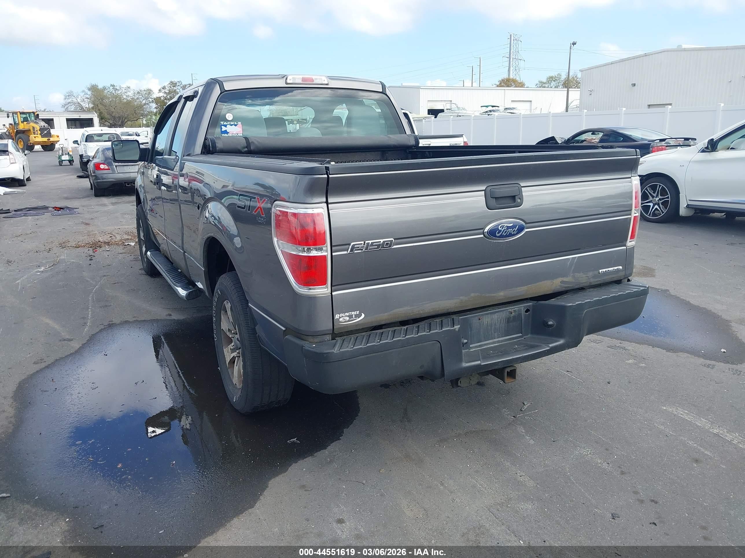 FORD F-150 image 3