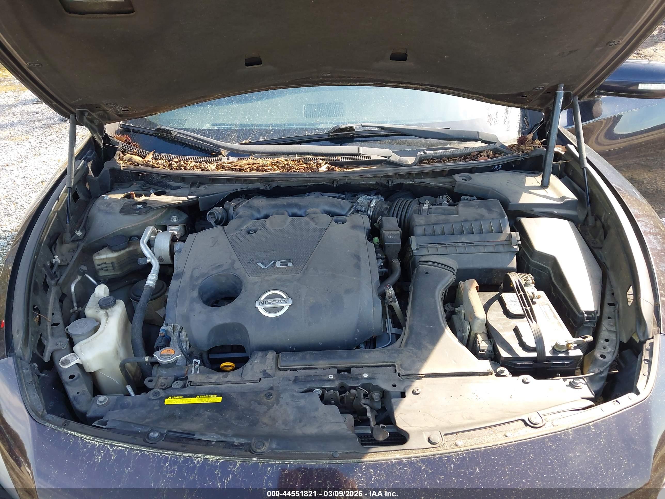 NISSAN MAXIMA image 10