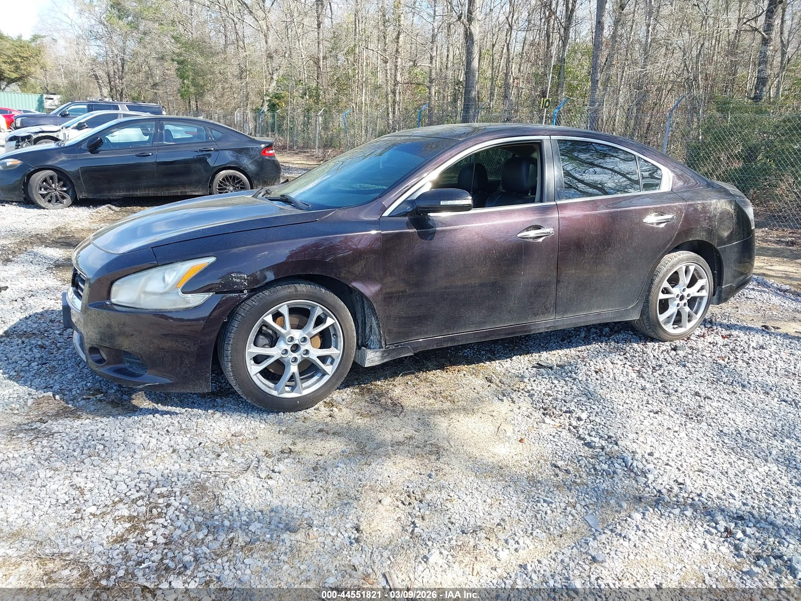NISSAN MAXIMA image 2