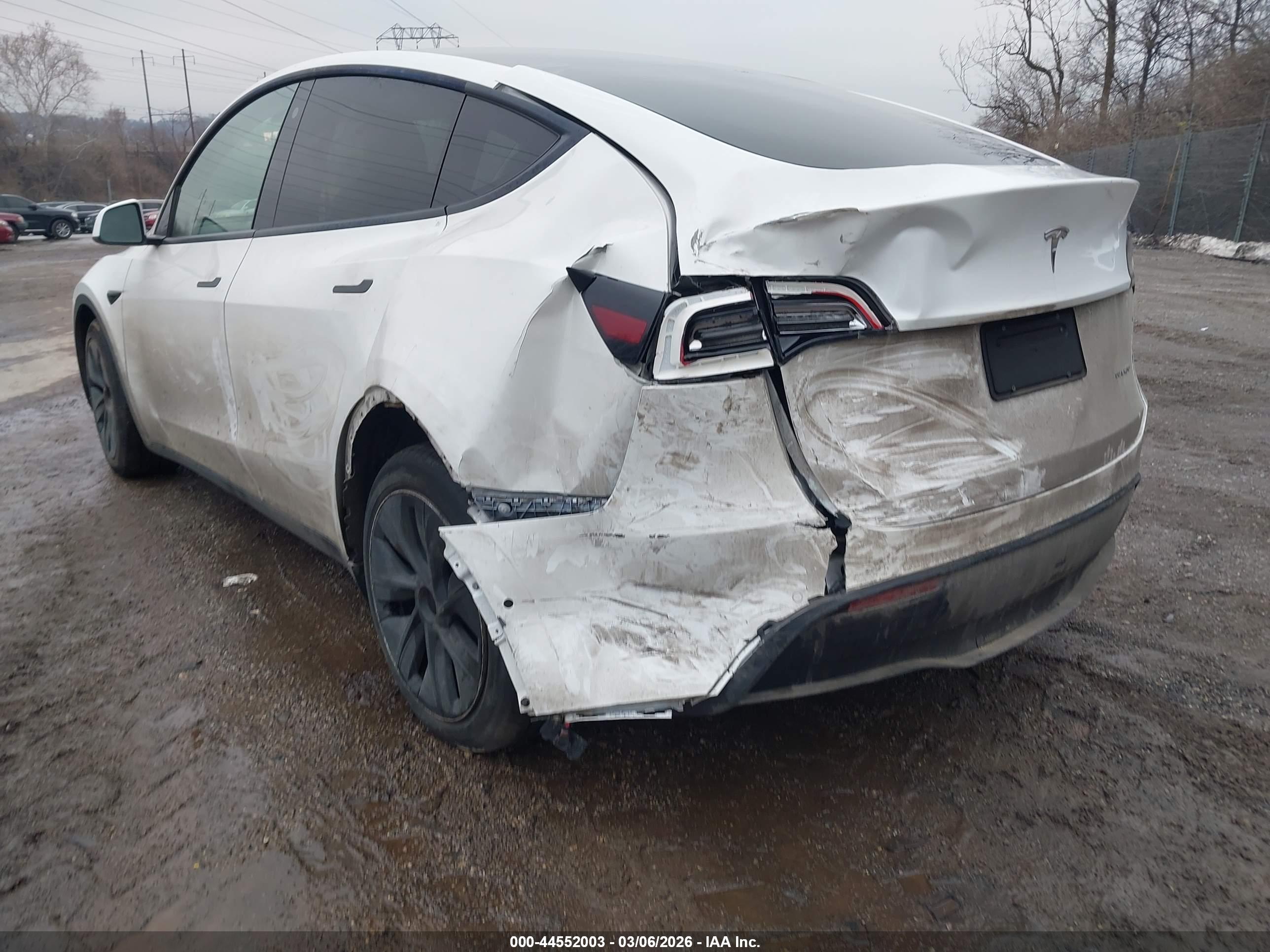 TESLA MODEL image 6