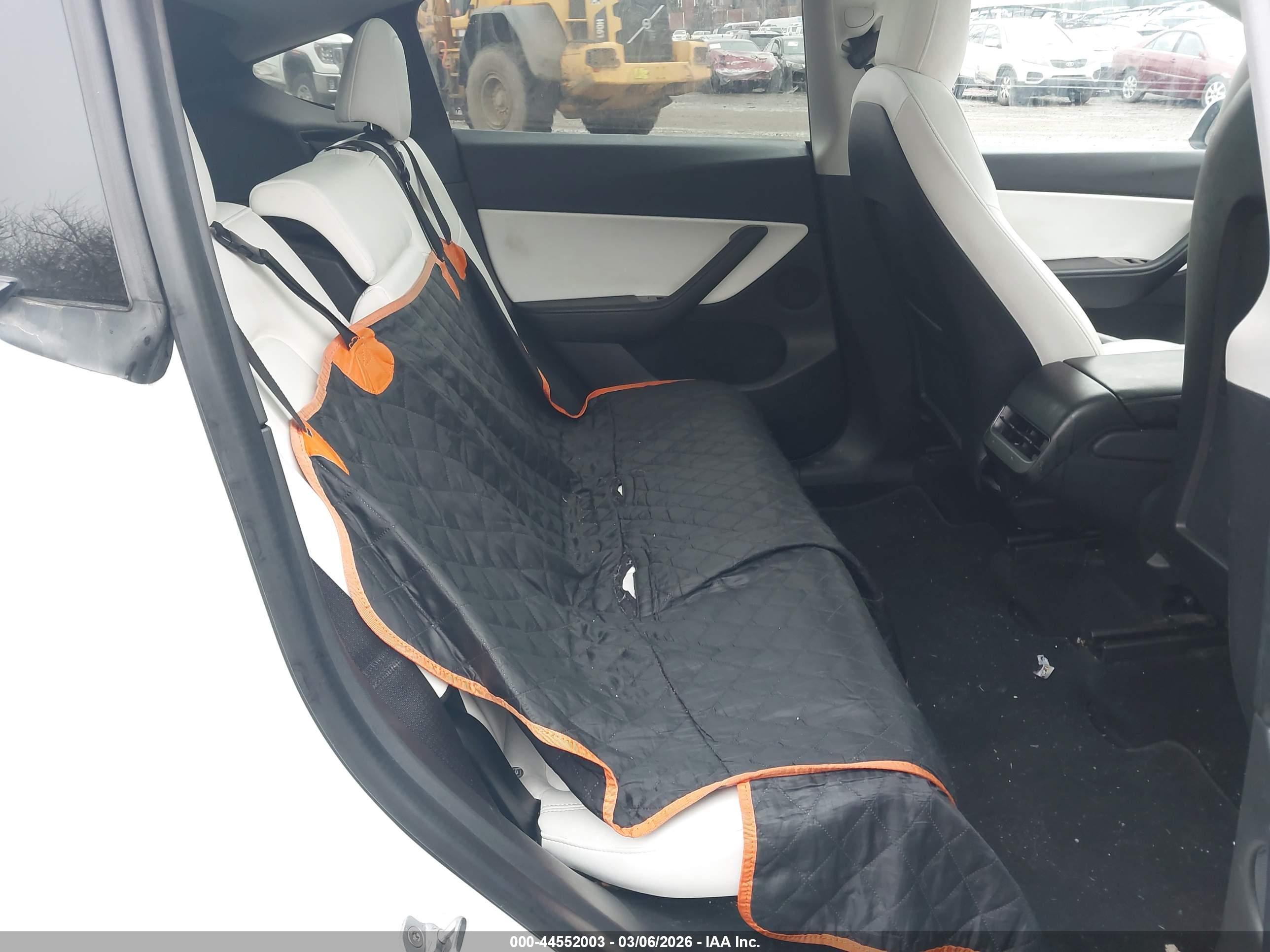 TESLA MODEL image 8
