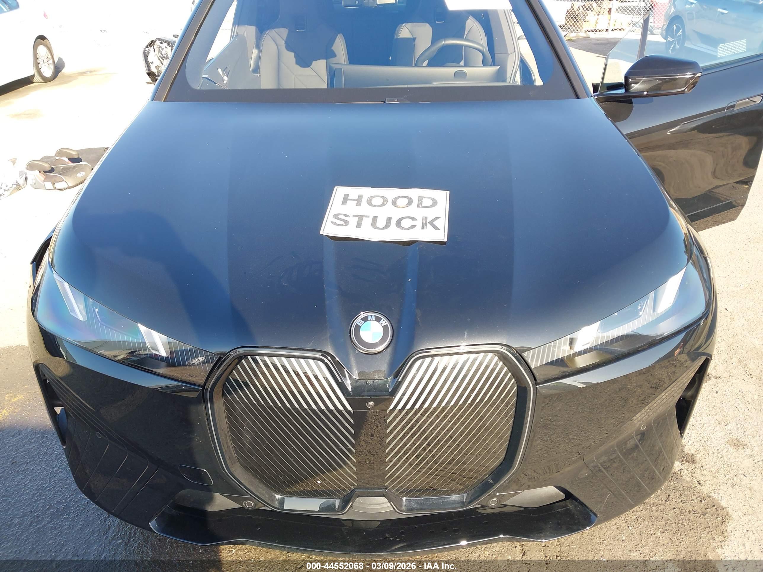 BMW IX image 10