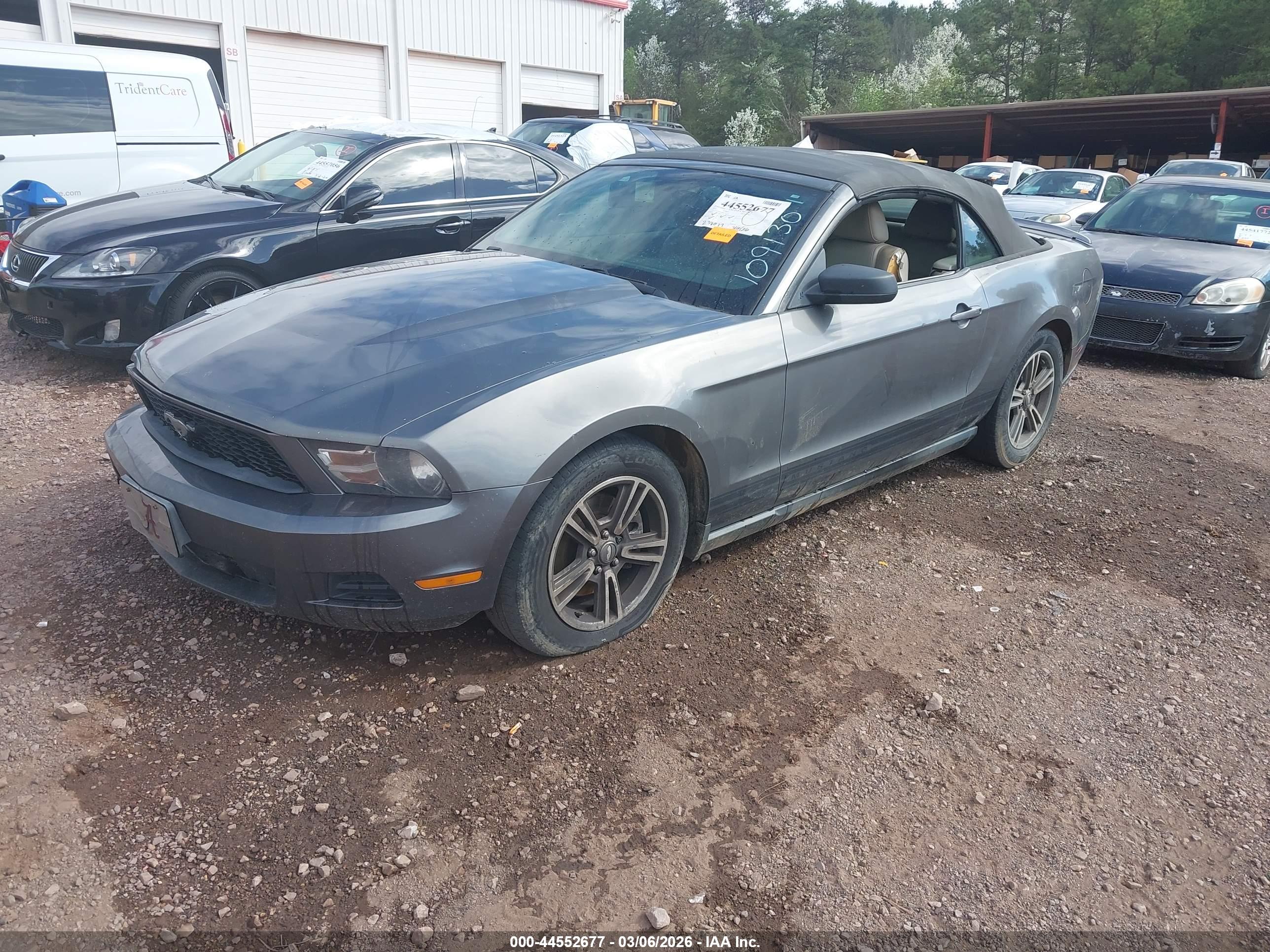 FORD MUSTANG image 2