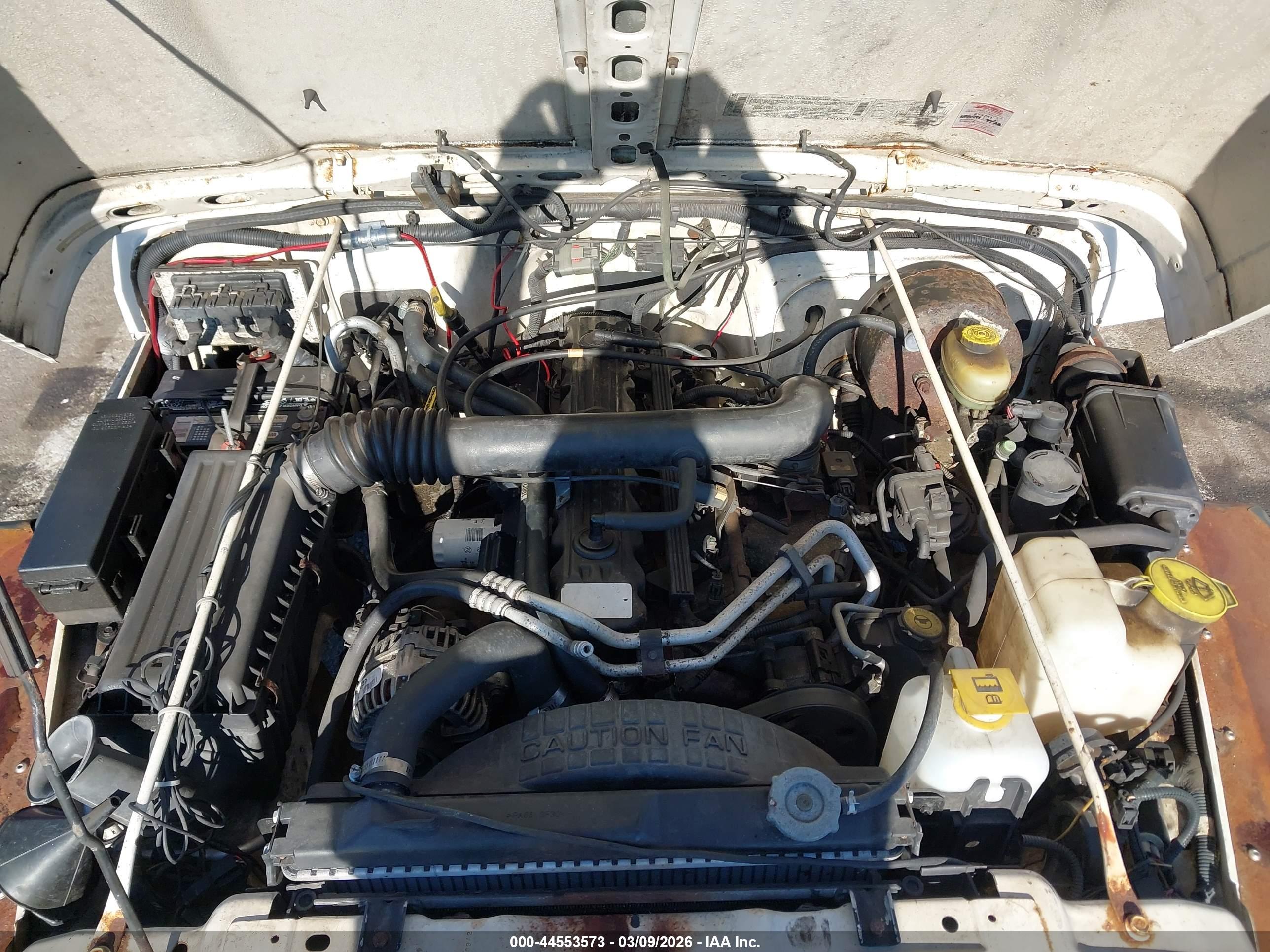 JEEP WRANGLER image 10