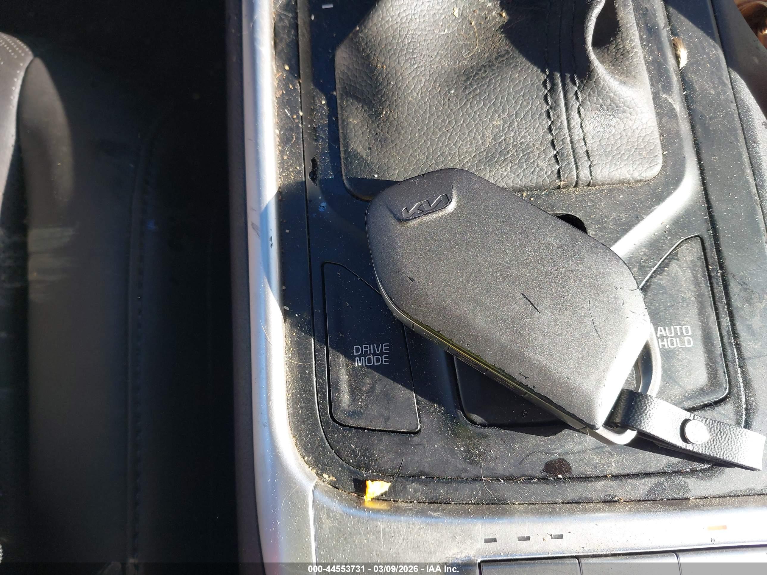 KIA CARNIVAL image 11