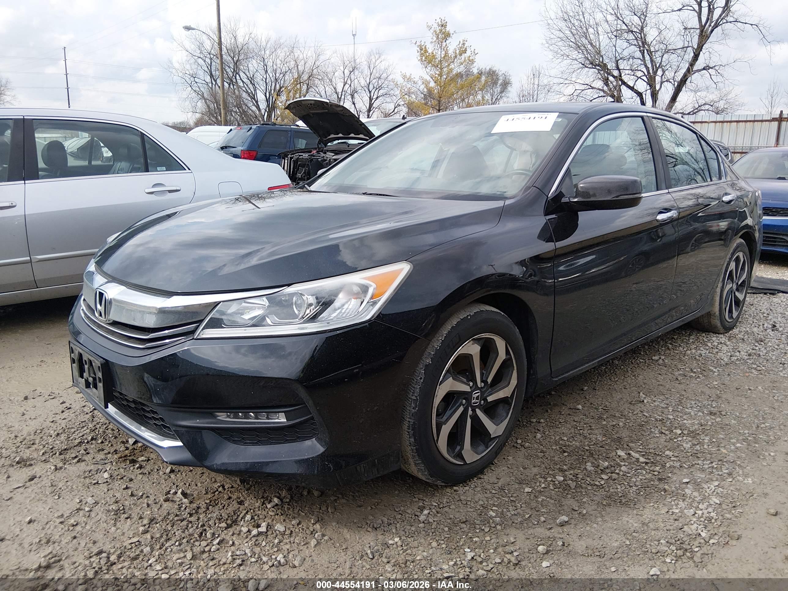 HONDA ACCORD image 2
