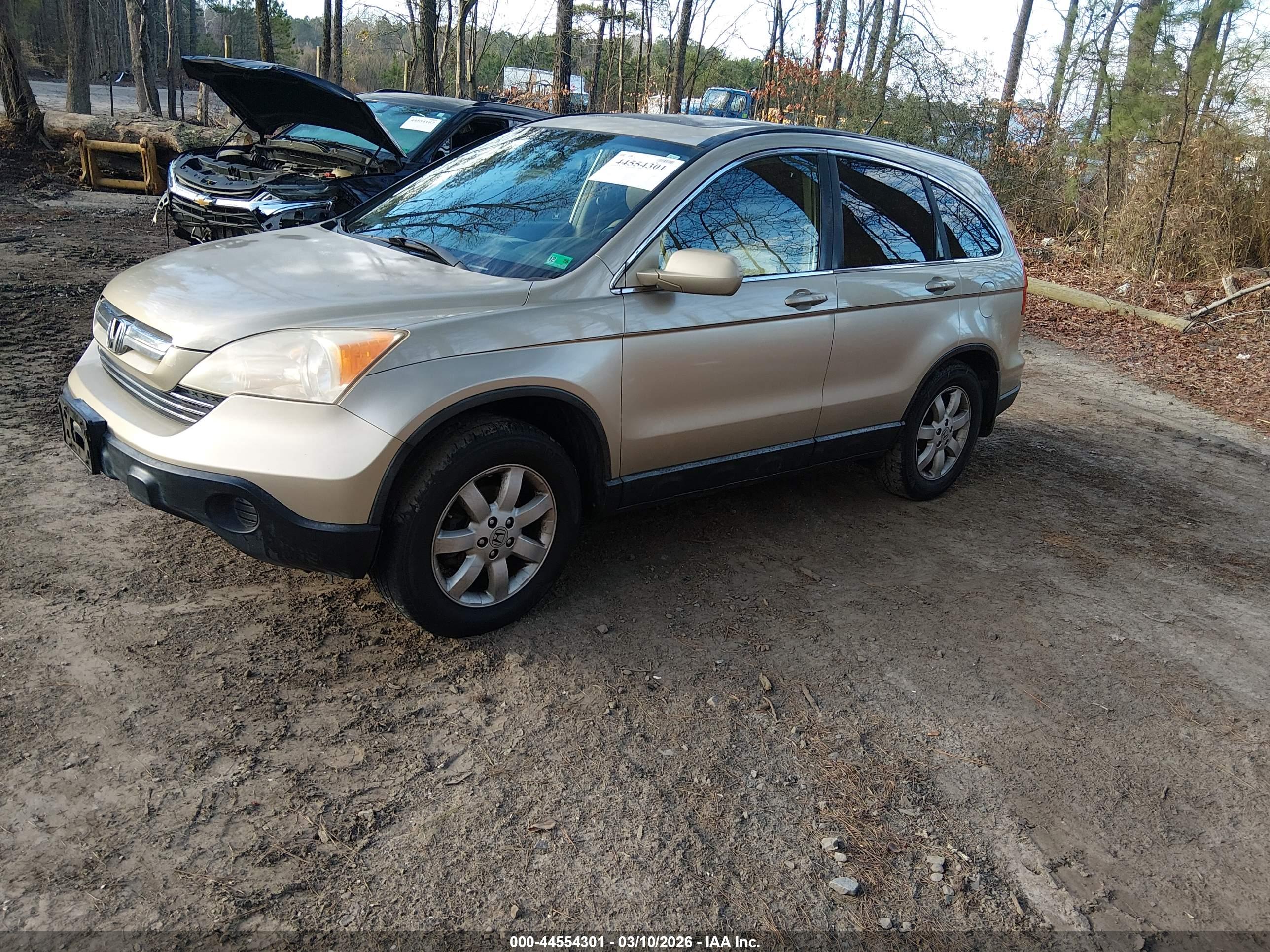 HONDA CR-V image 2