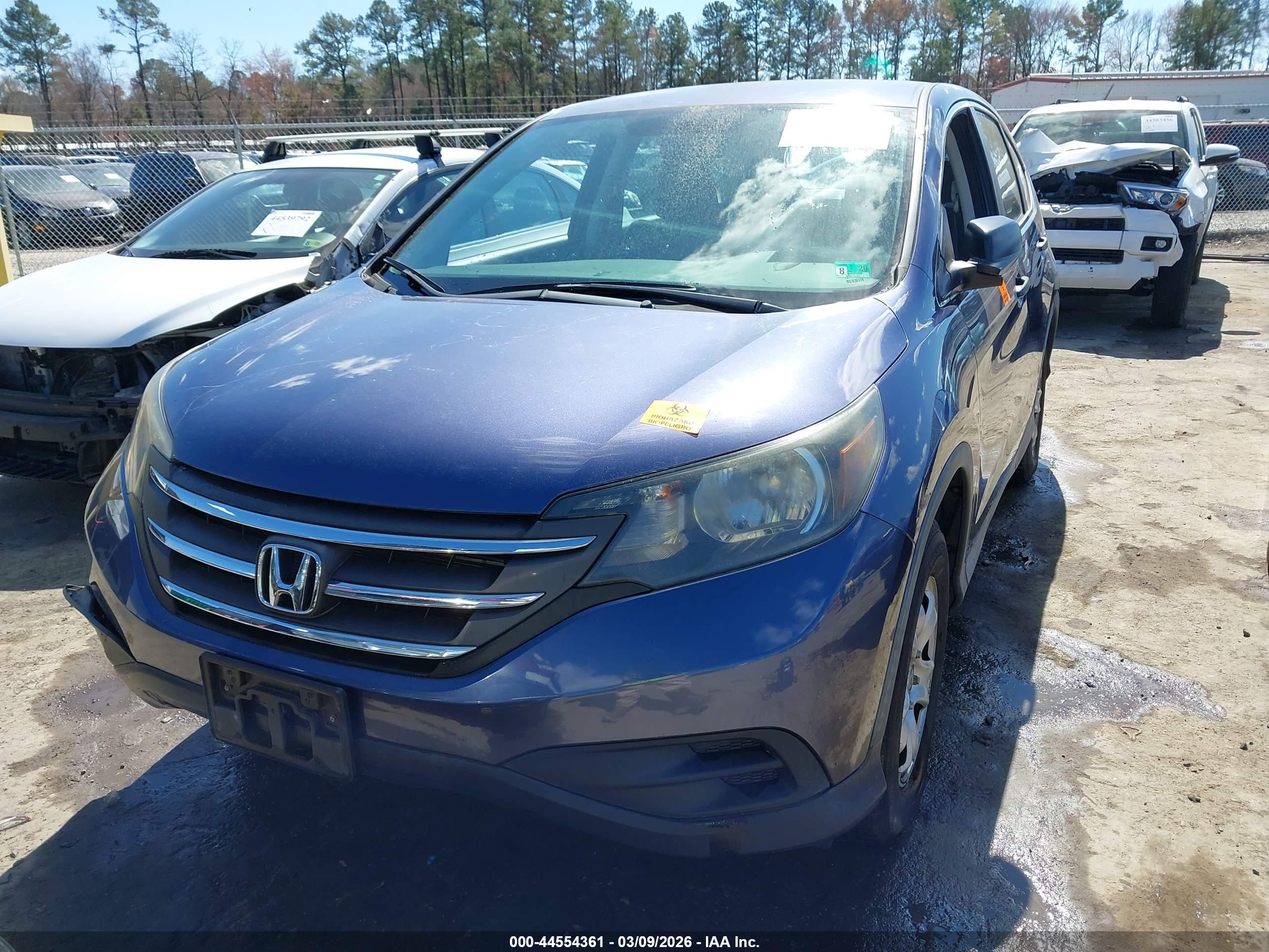 HONDA CR-V image 6