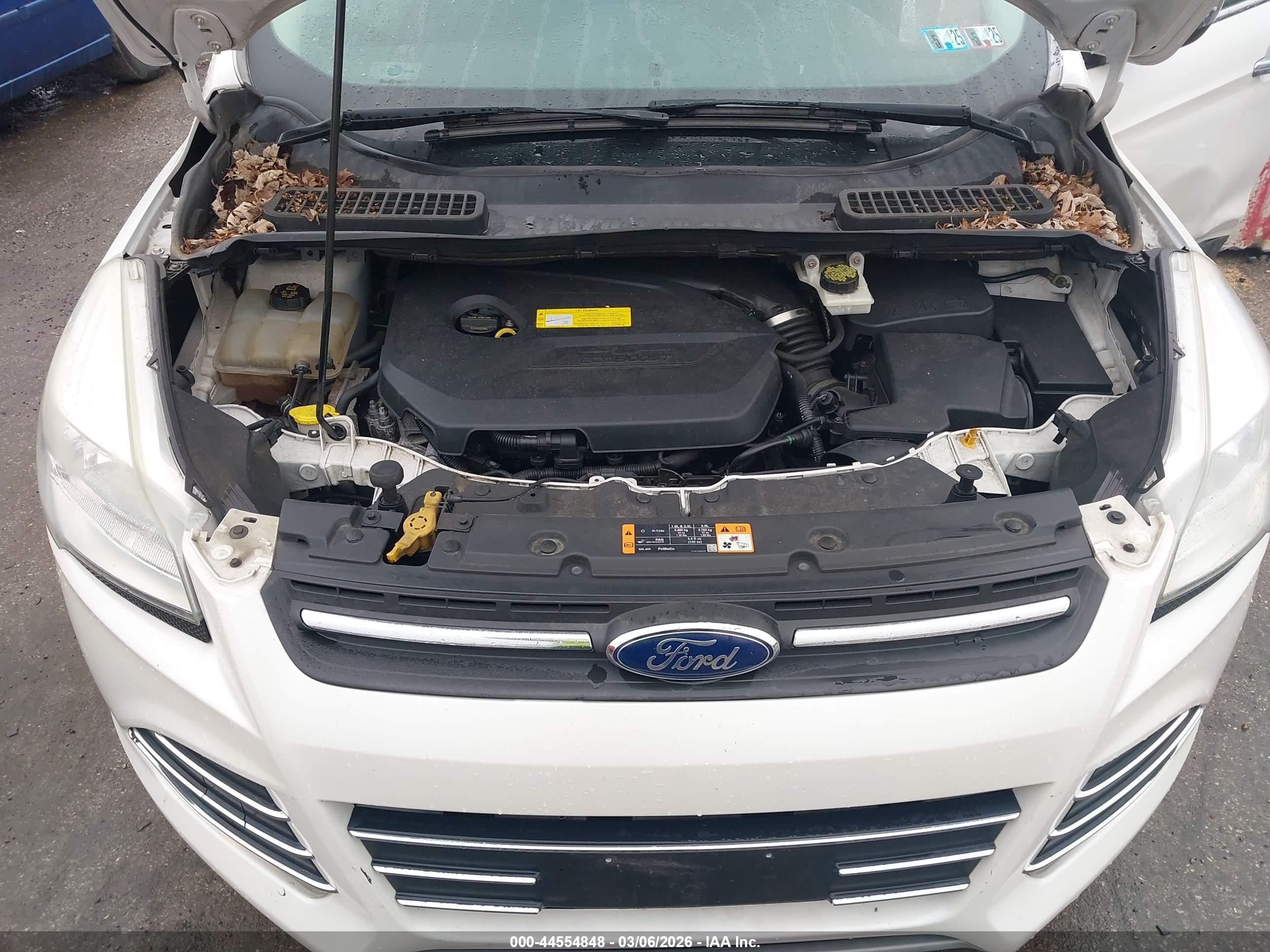 FORD ESCAPE image 10