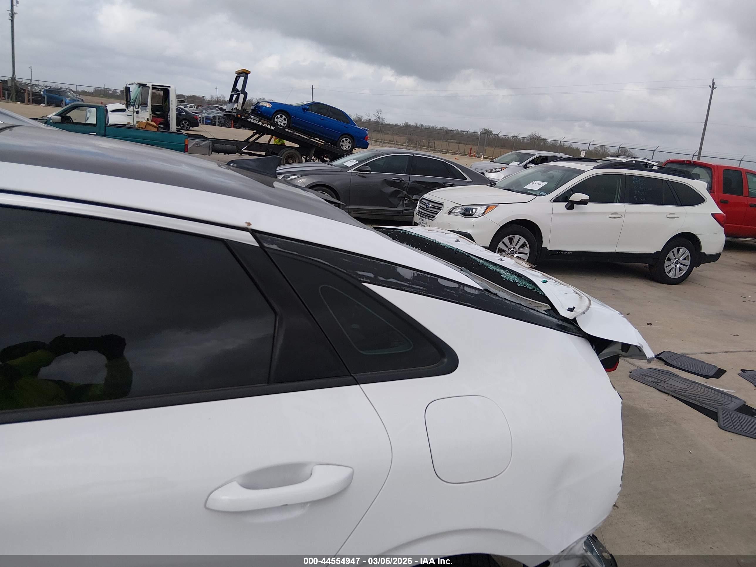 KIA K5 image 6
