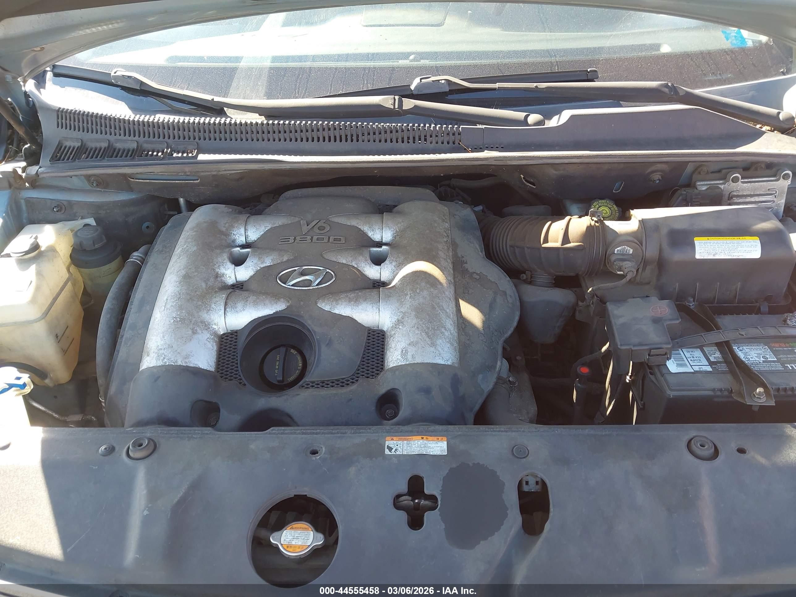 HYUNDAI ENTOURAGE image 10
