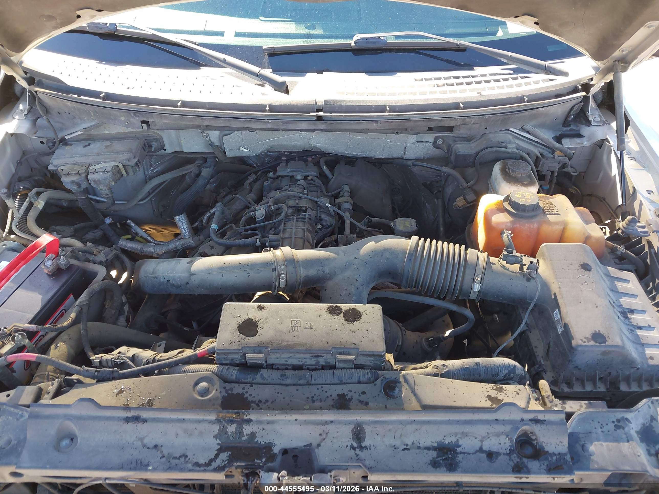 FORD F-150 image 10