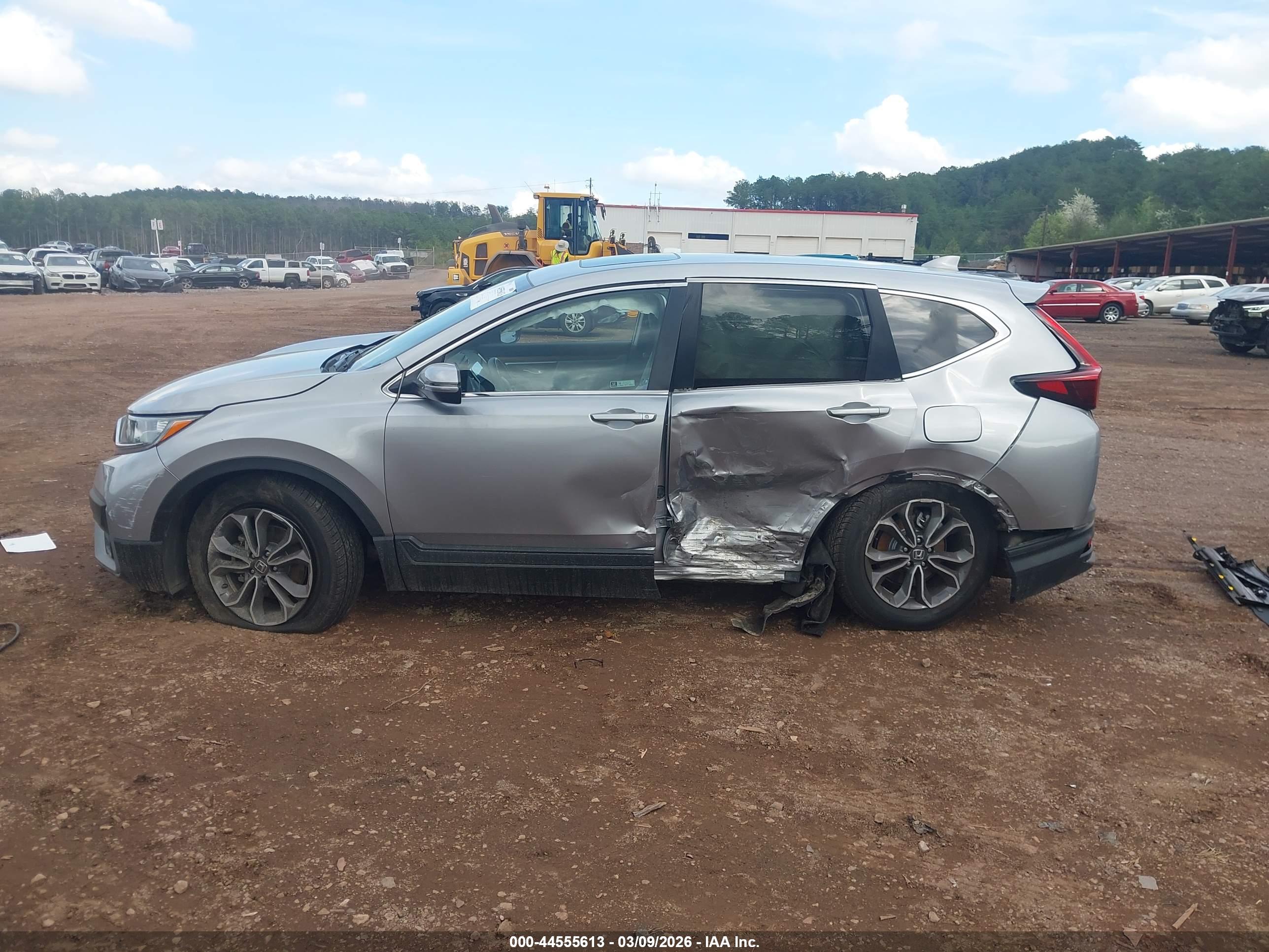 HONDA CR-V image 6
