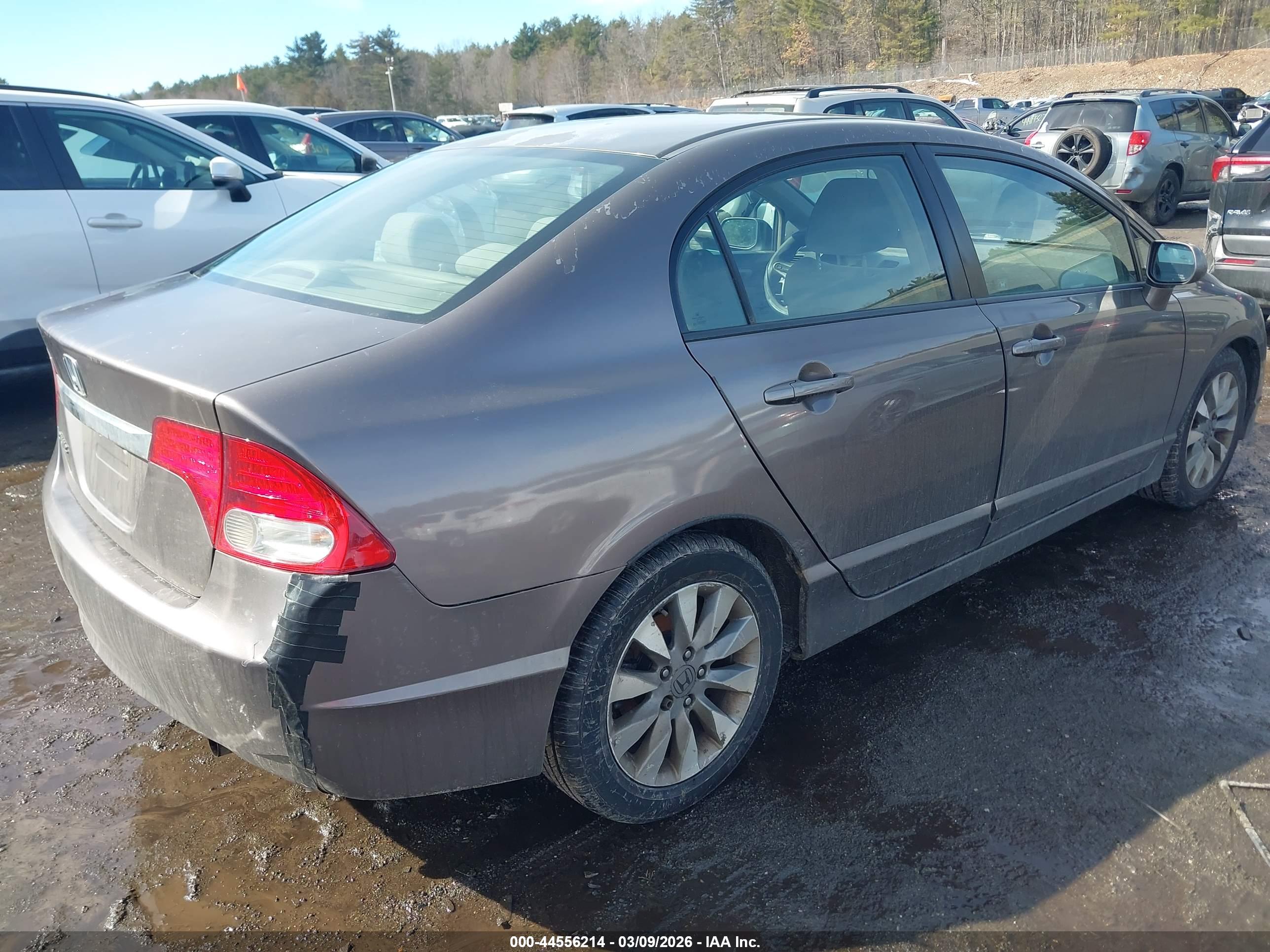 HONDA CIVIC image 4