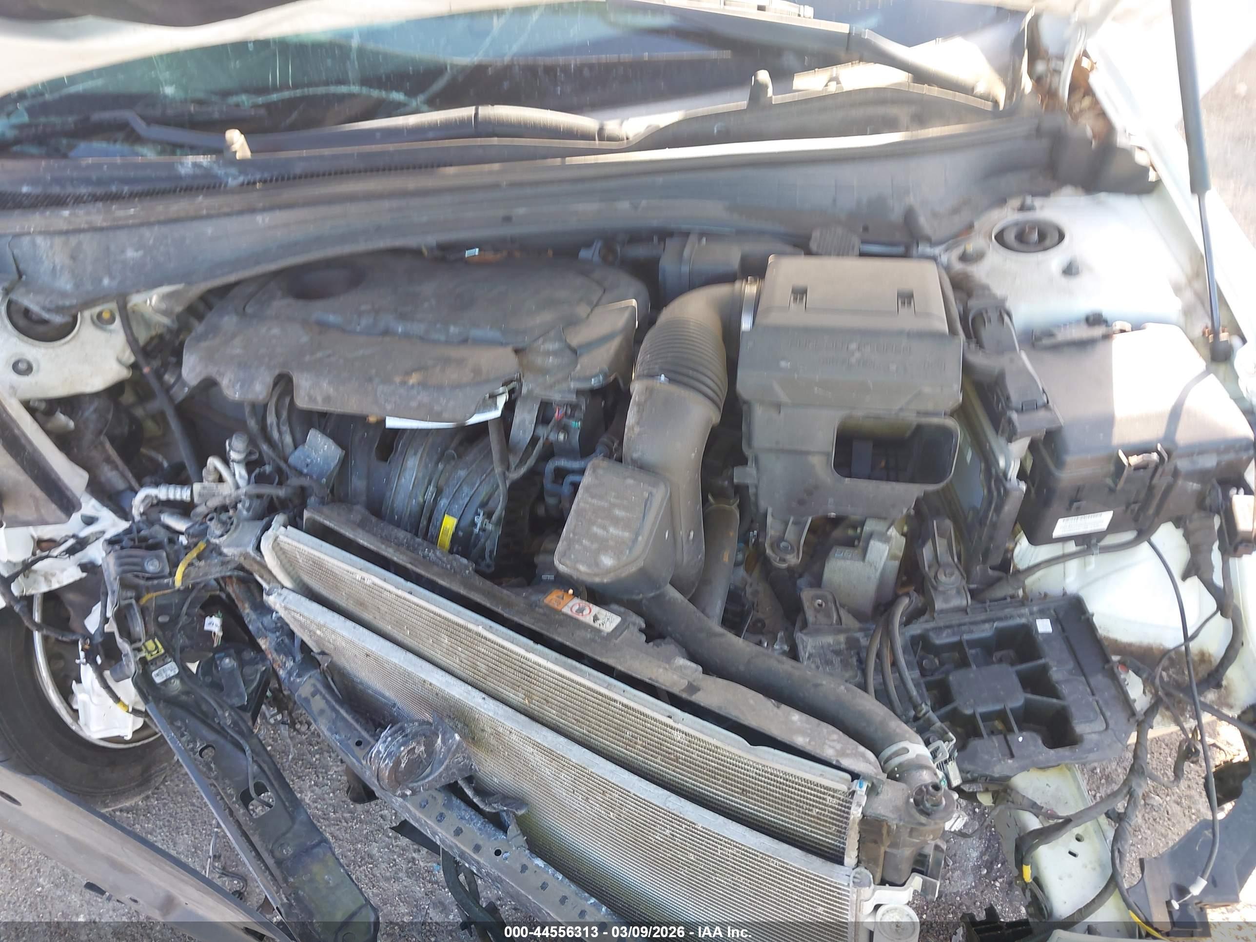 KIA OPTIMA image 10