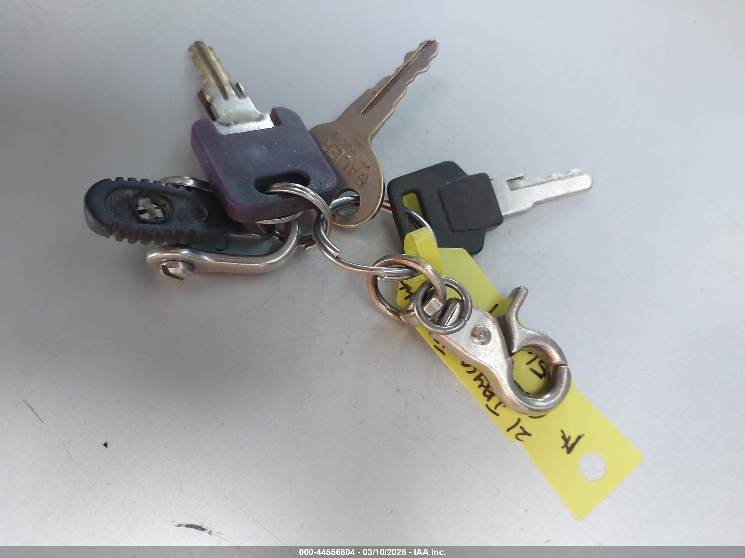 JAYCO JAY image 11