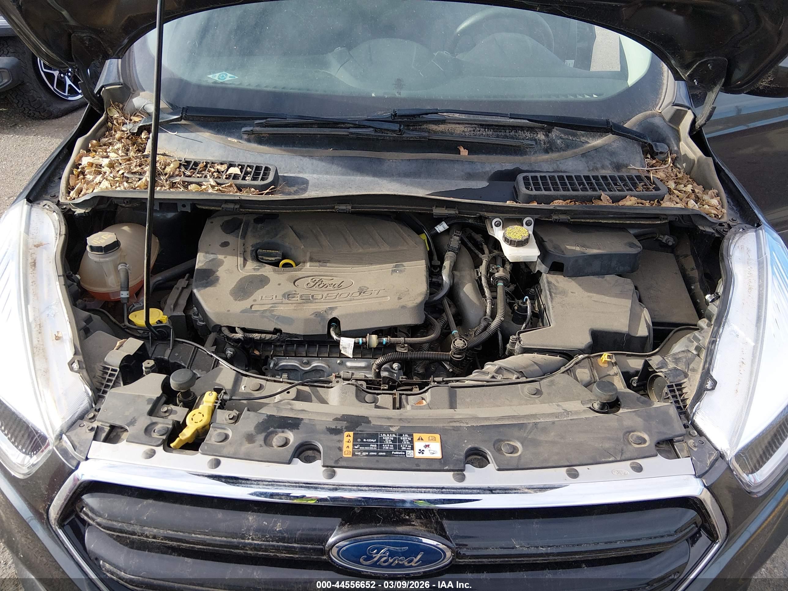 FORD ESCAPE image 10