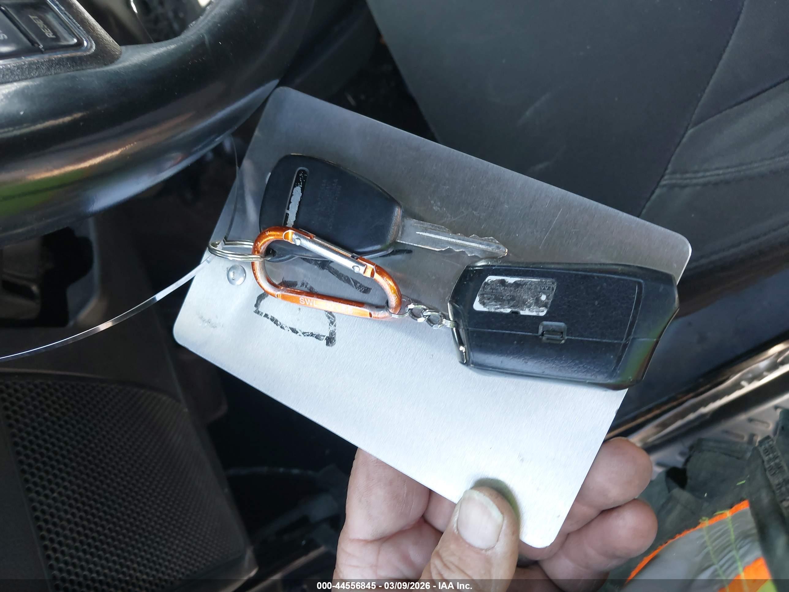 JEEP WRANGLER image 11