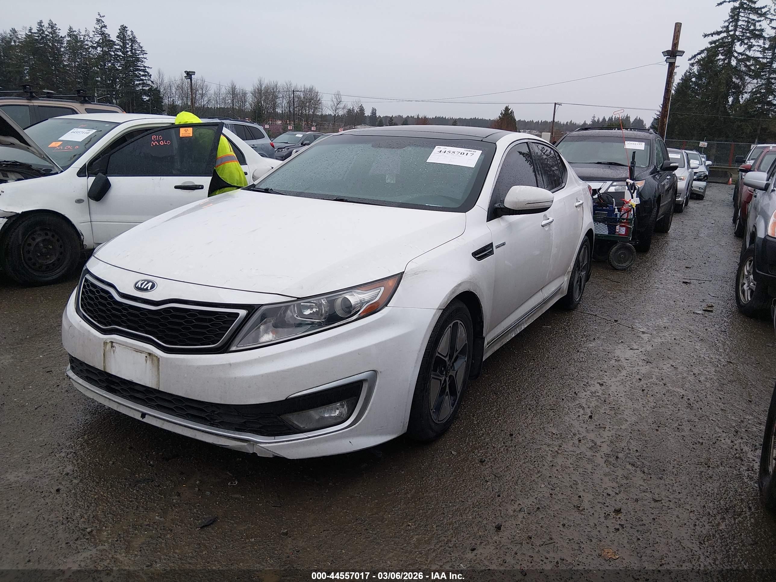 KIA OPTIMA image 2