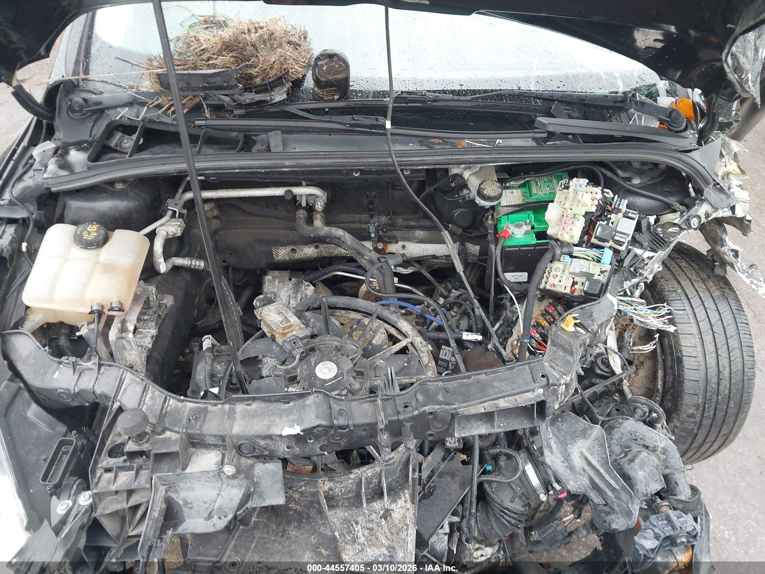 FORD FOCUS image 10
