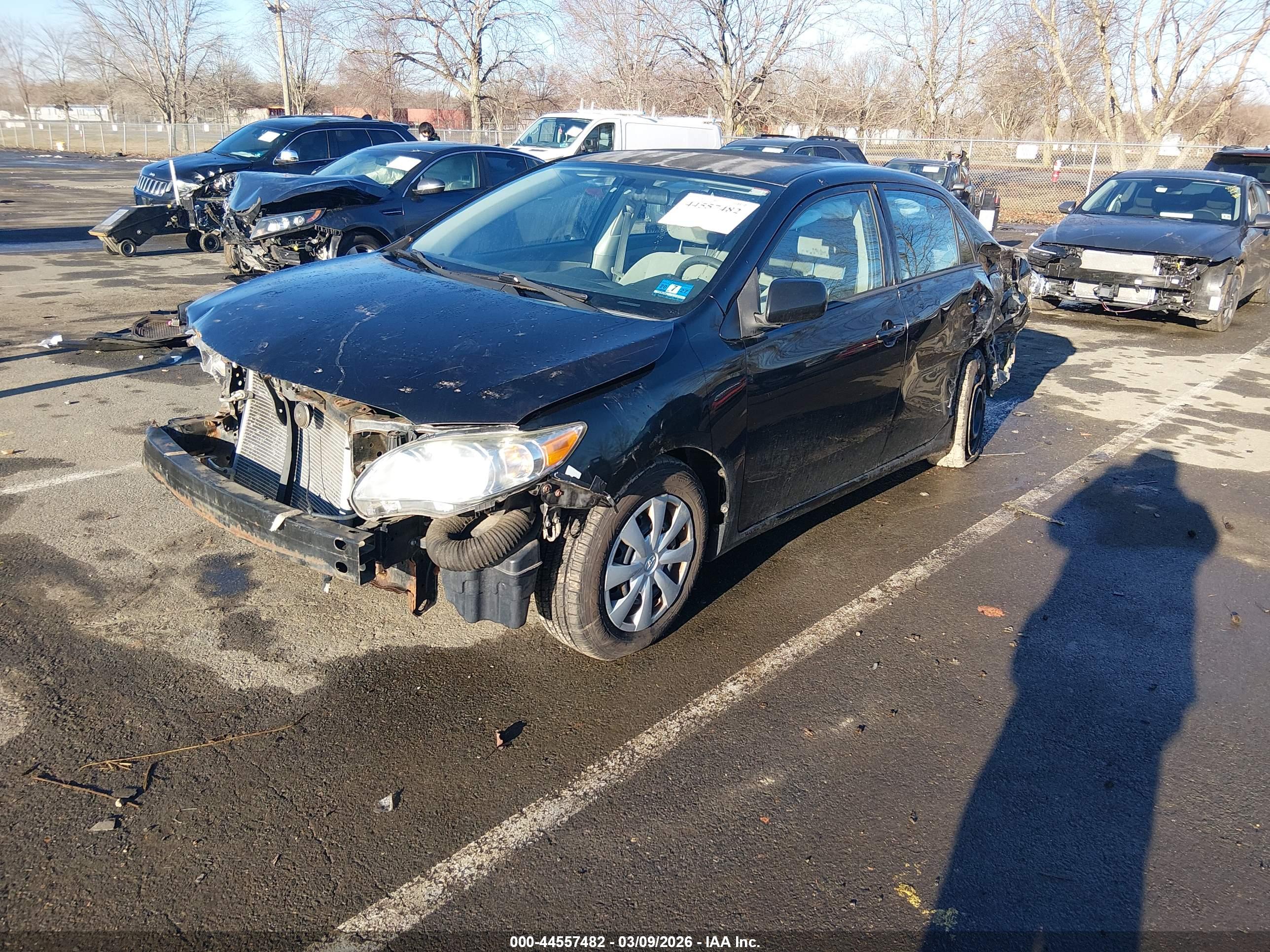 TOYOTA COROLLA image 2
