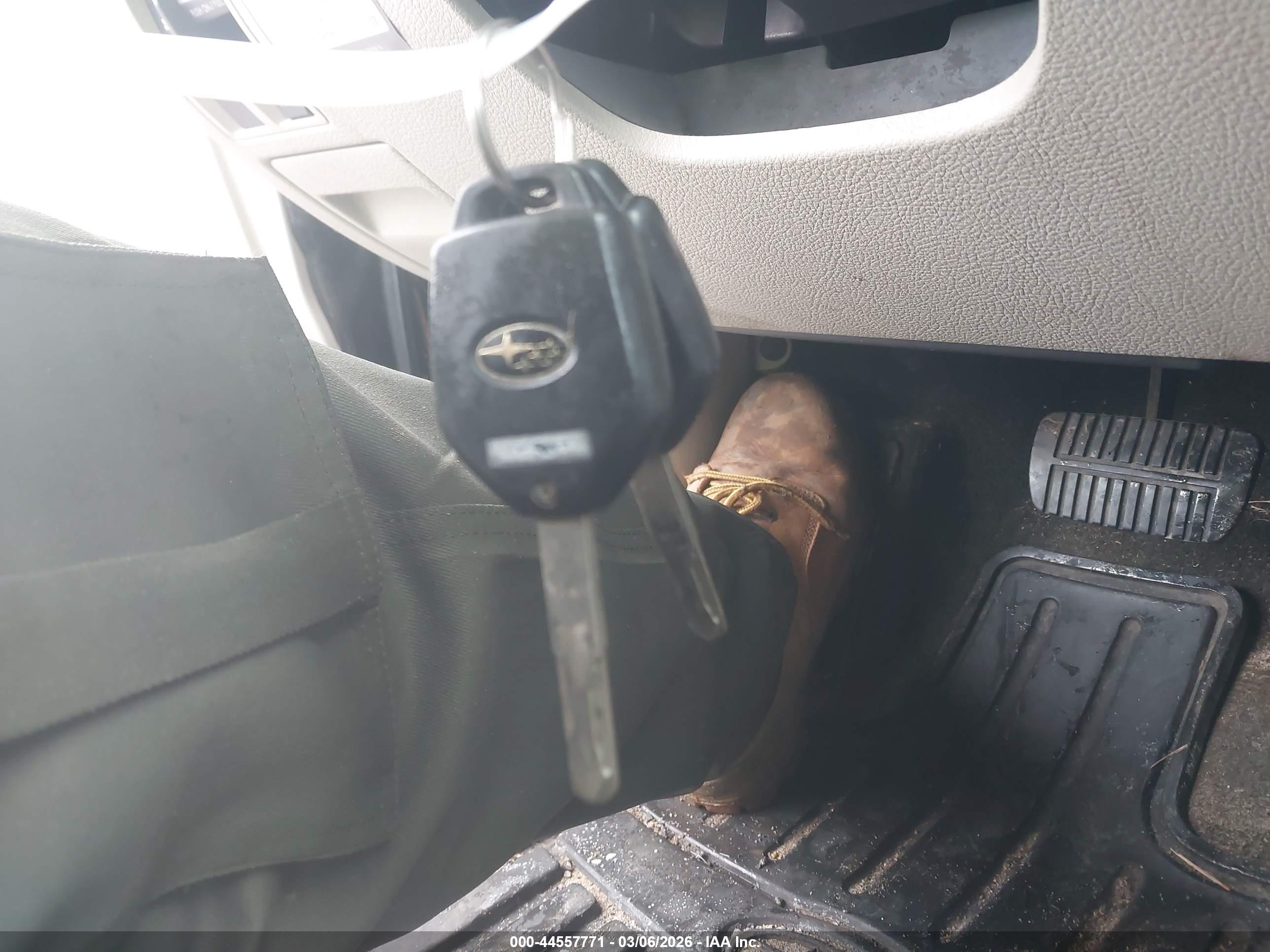 SUBARU OUTBACK image 11