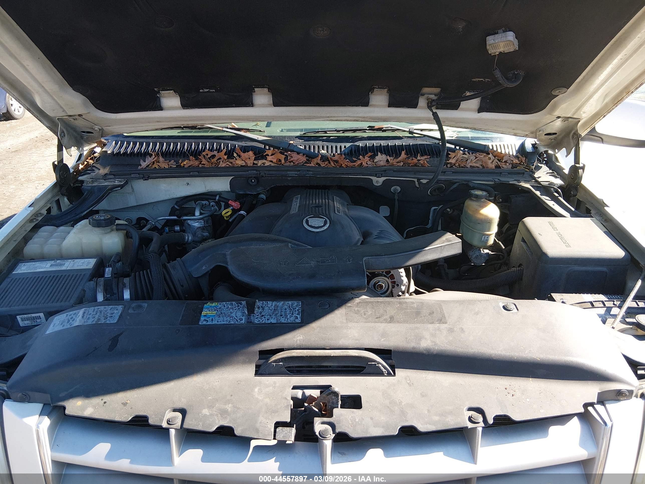 CADILLAC ESCALADE image 10