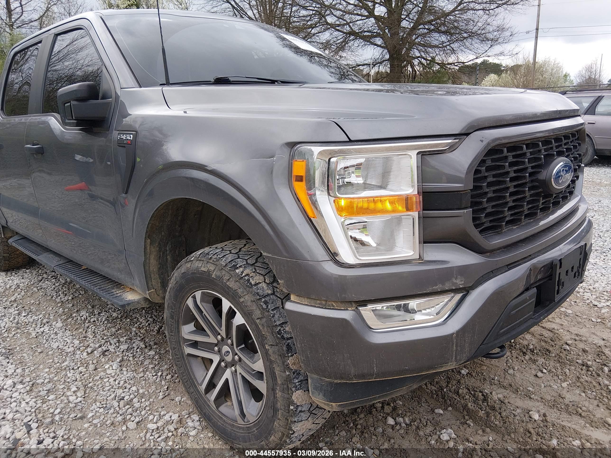 FORD F-150 image 6