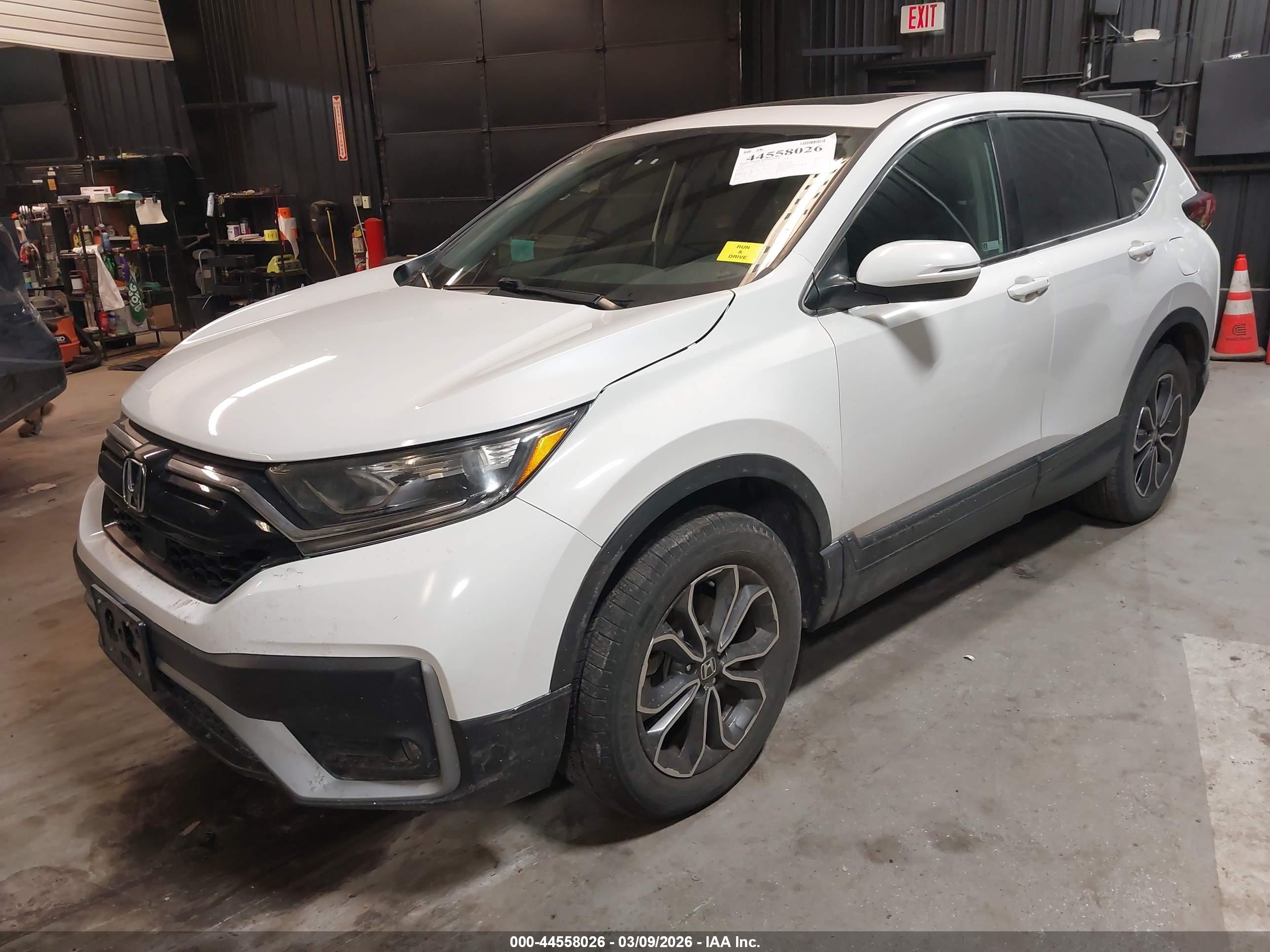 HONDA CR-V image 2
