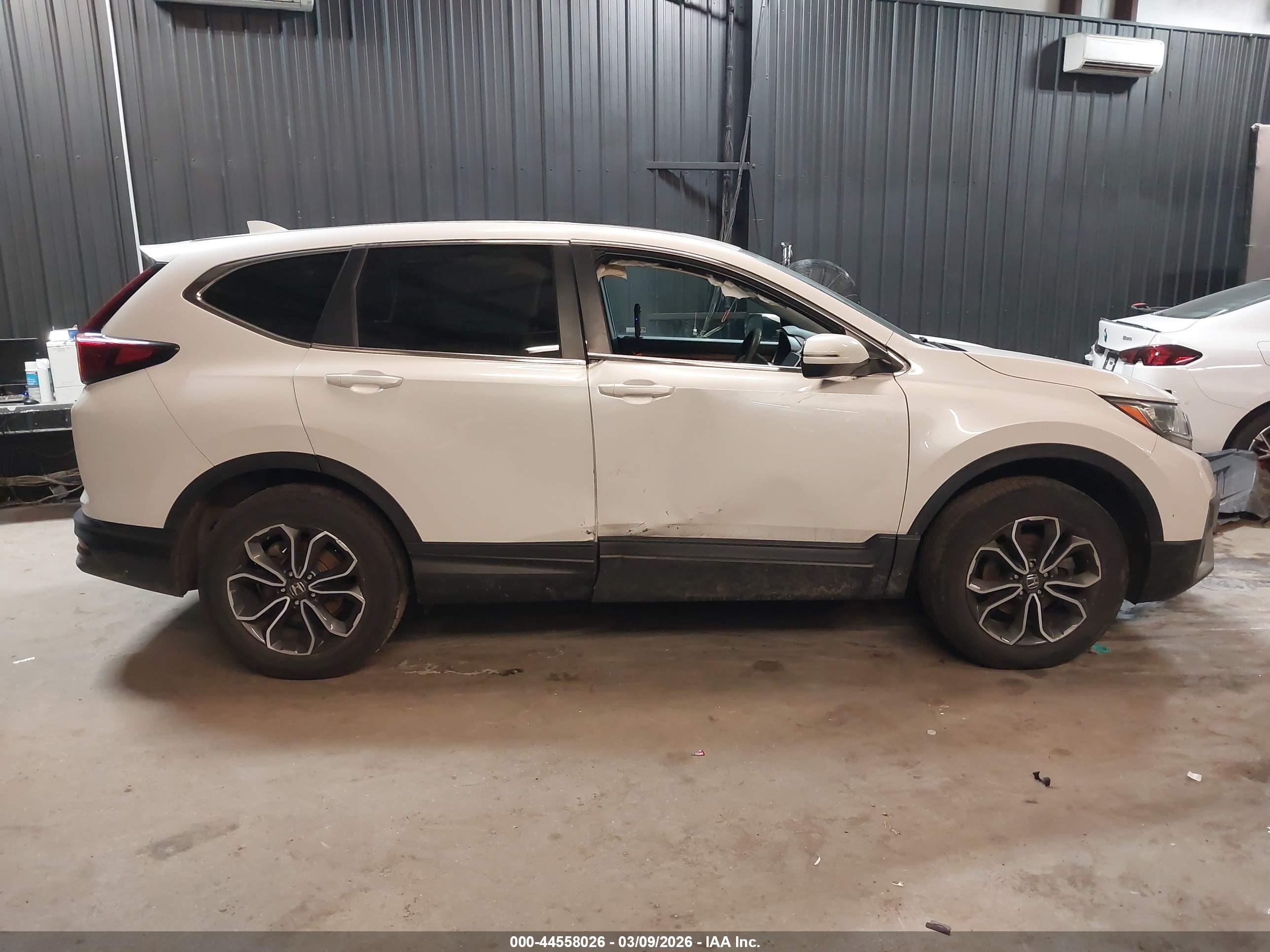 HONDA CR-V image 6