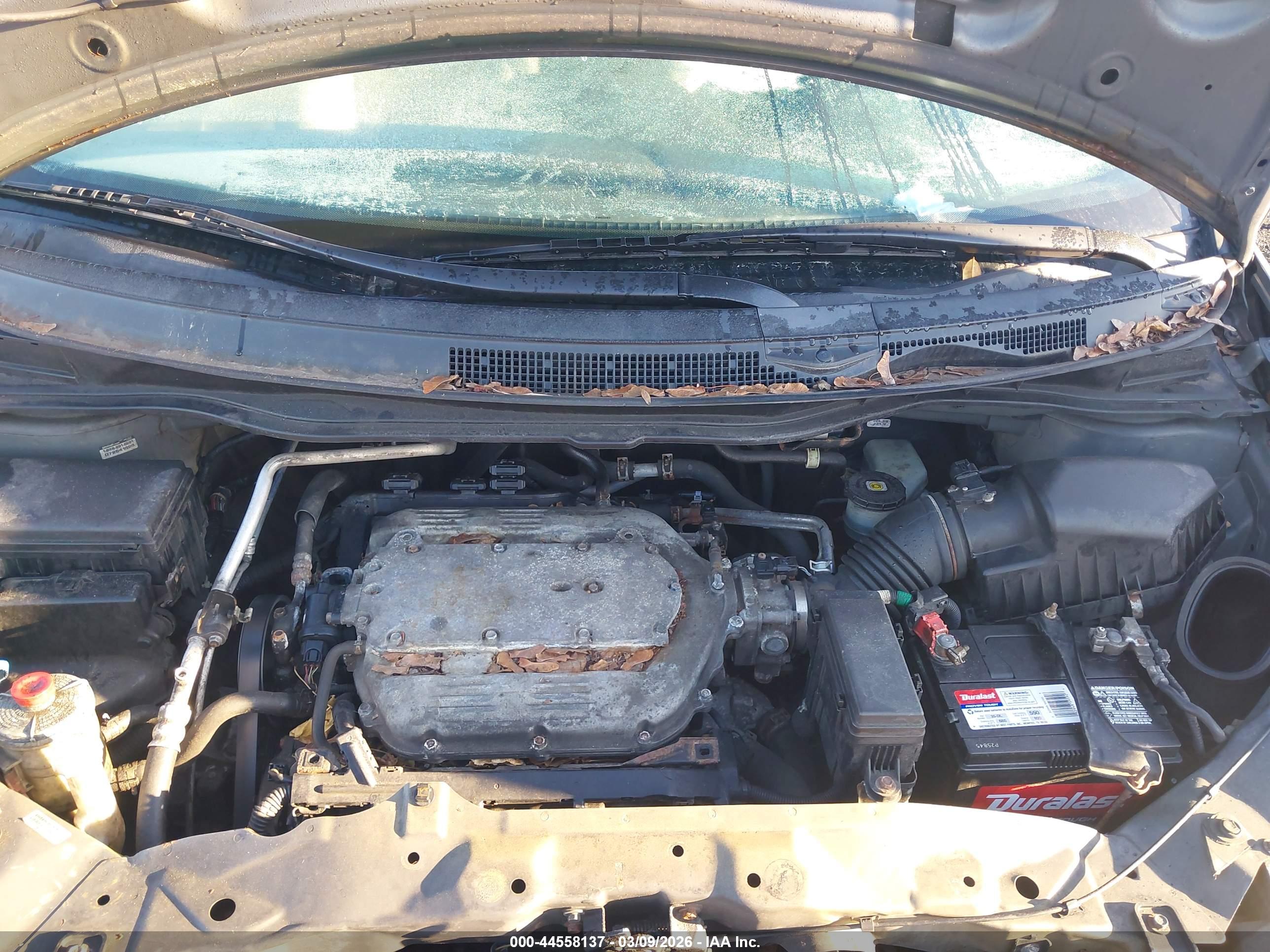 HONDA ODYSSEY image 10