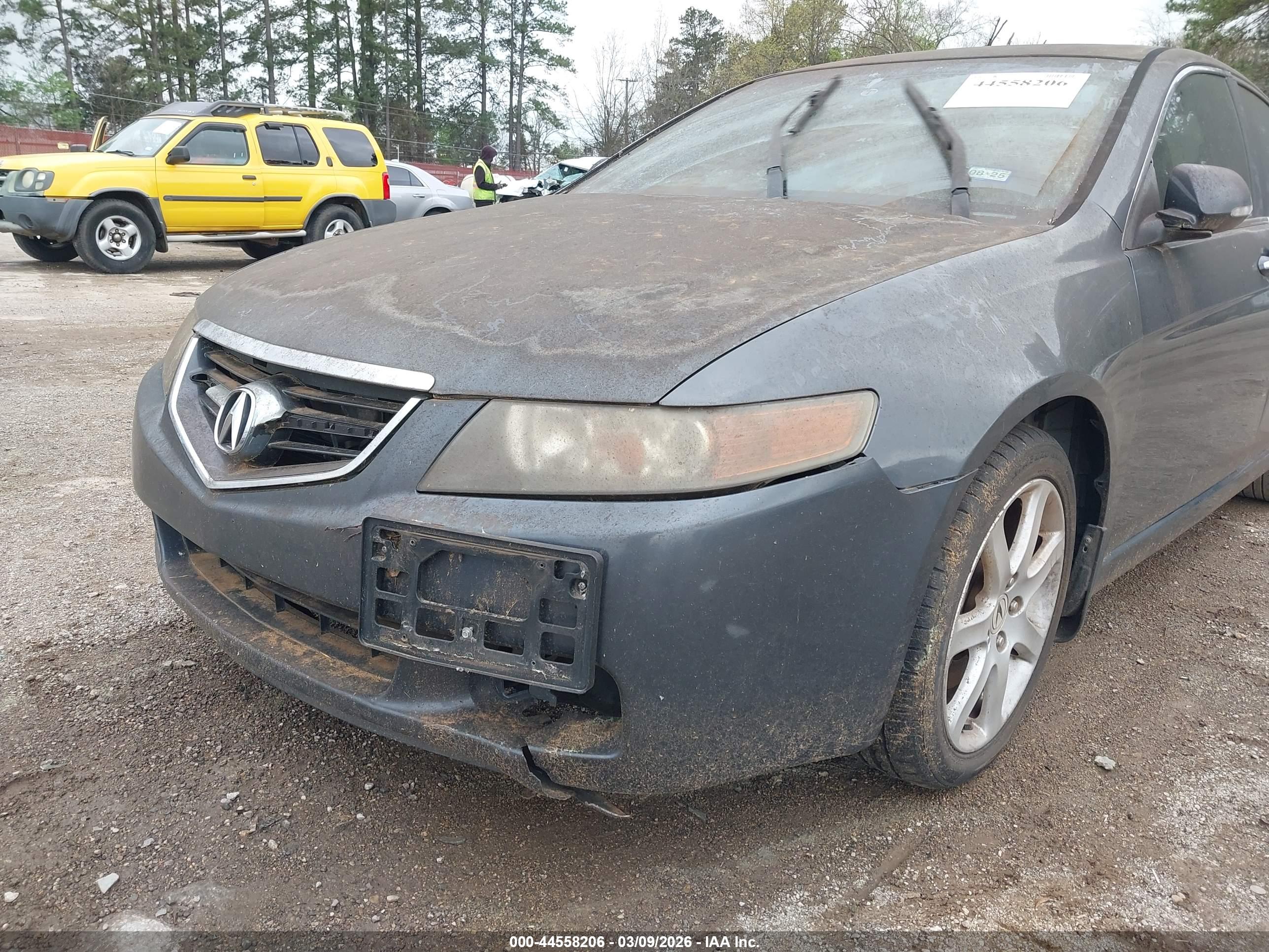 ACURA TSX image 6