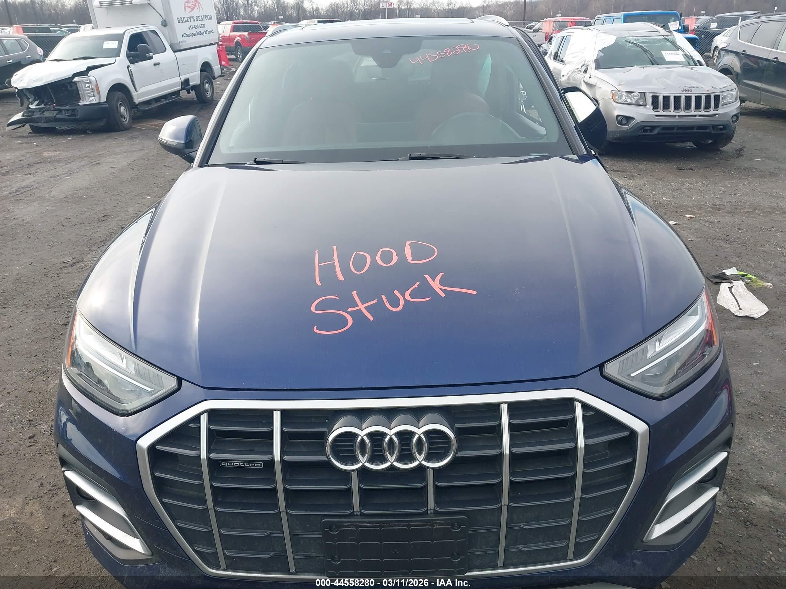 AUDI Q5 image 10