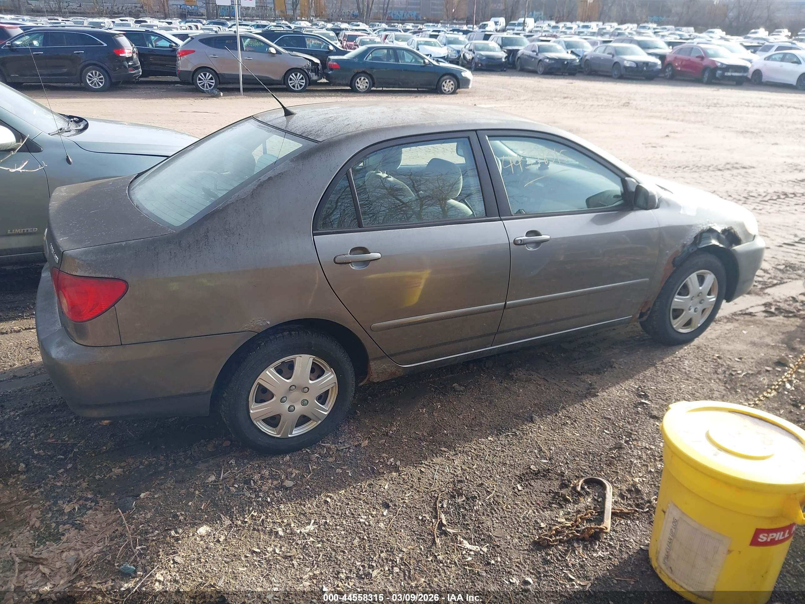 TOYOTA COROLLA image 4