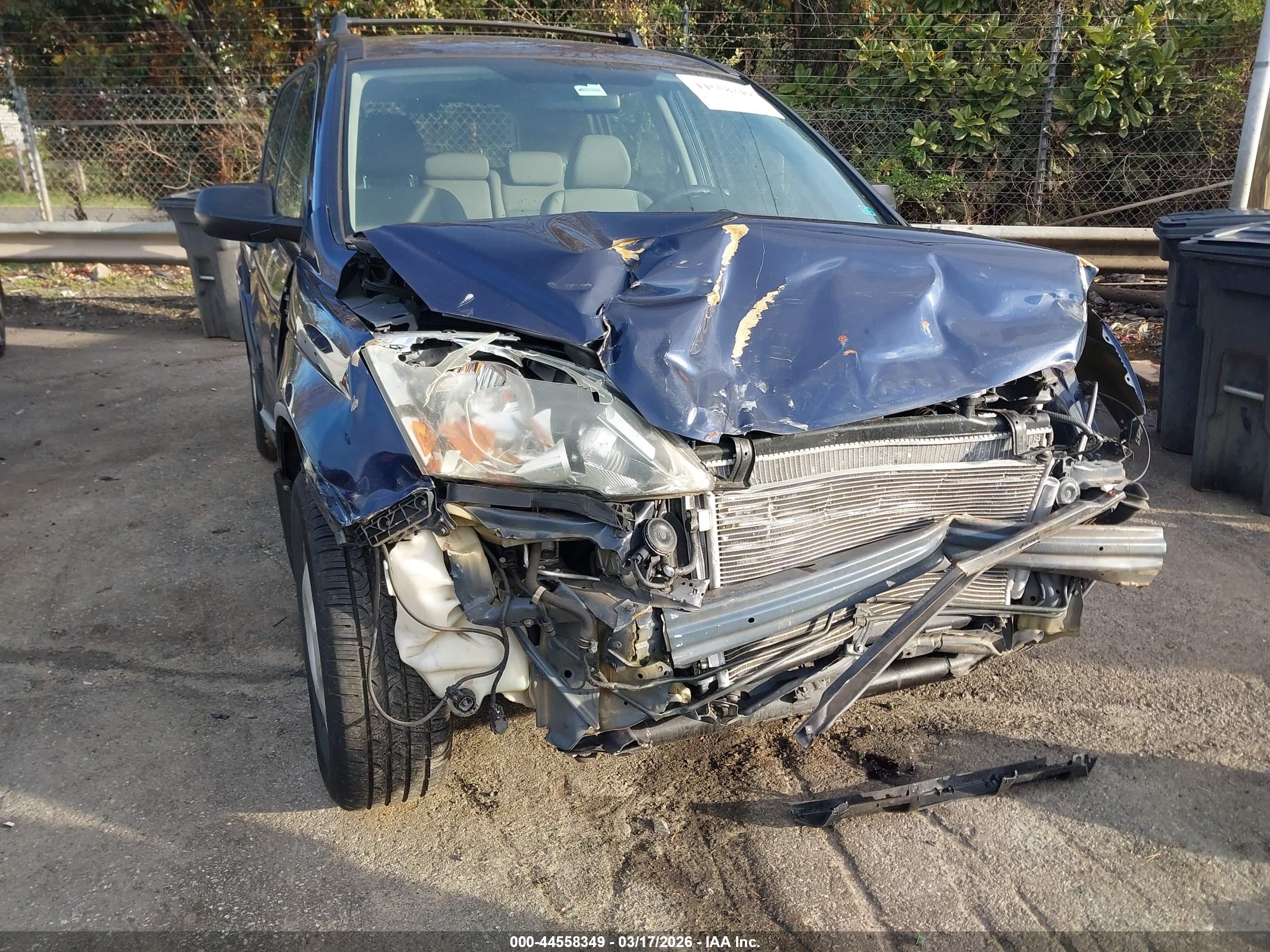 HONDA CR-V image 6