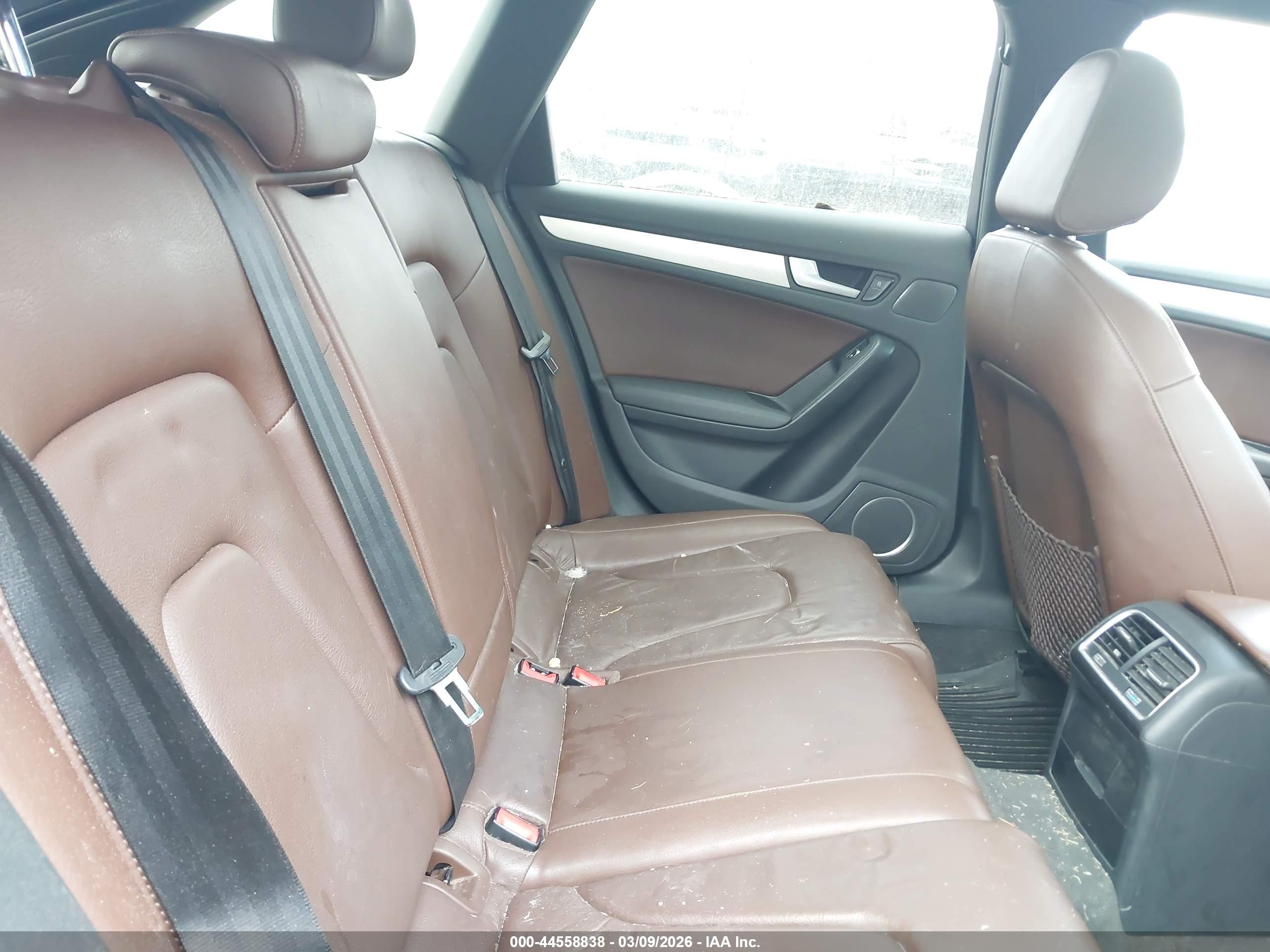 AUDI ALLROAD image 8