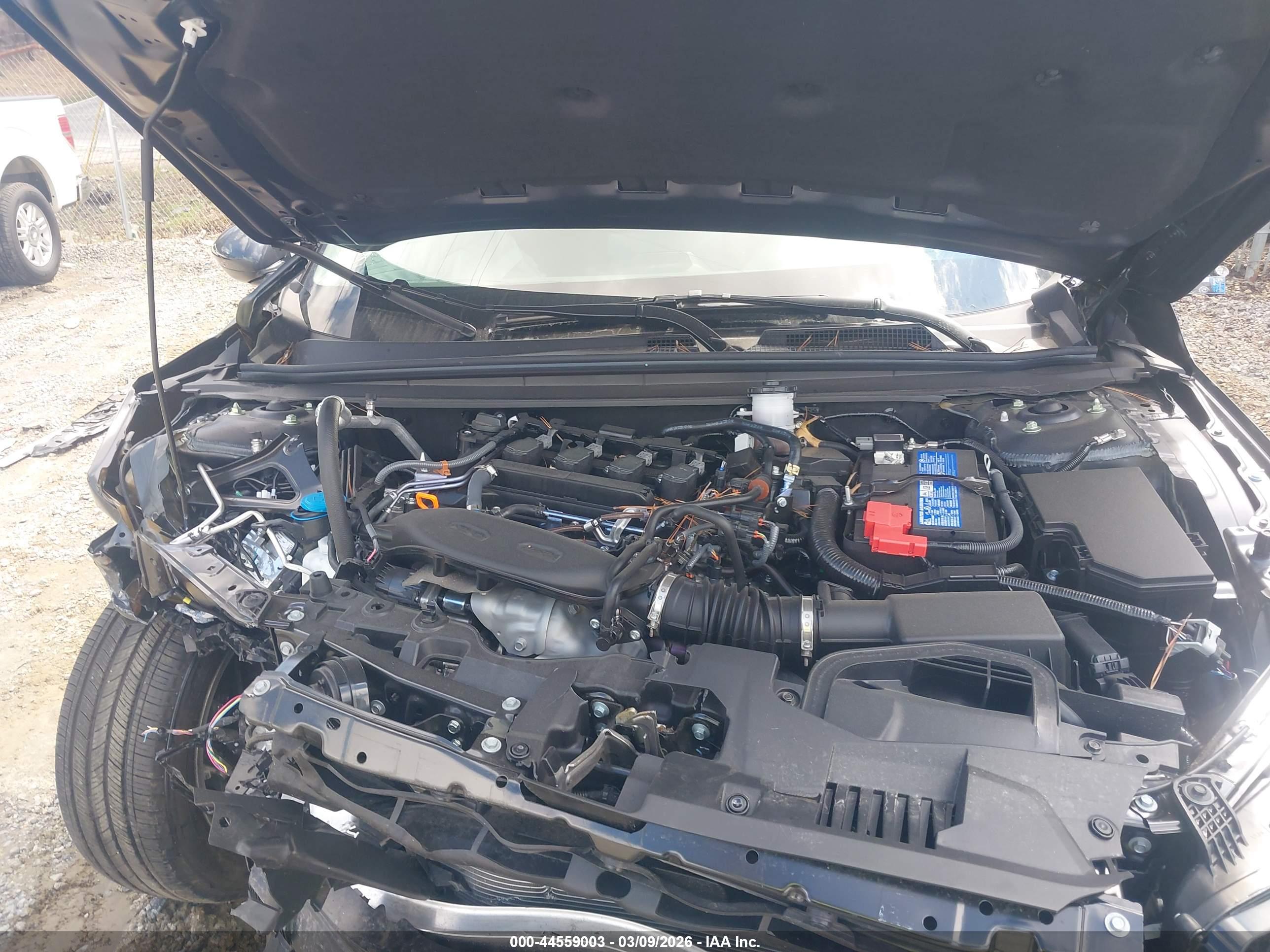 HONDA ACCORD image 10